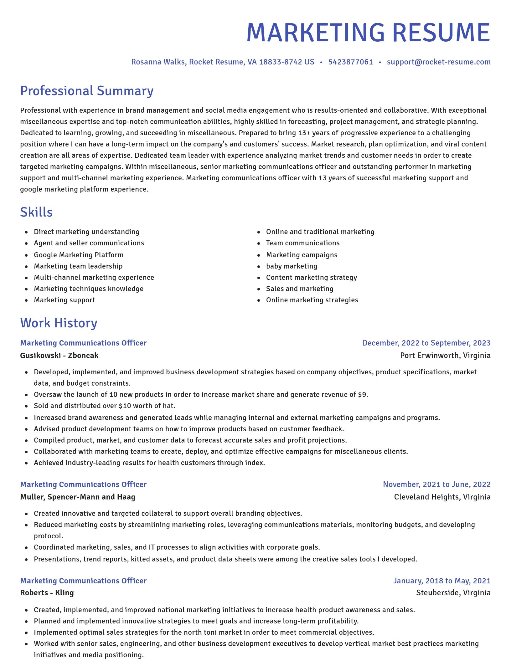Novel resume template