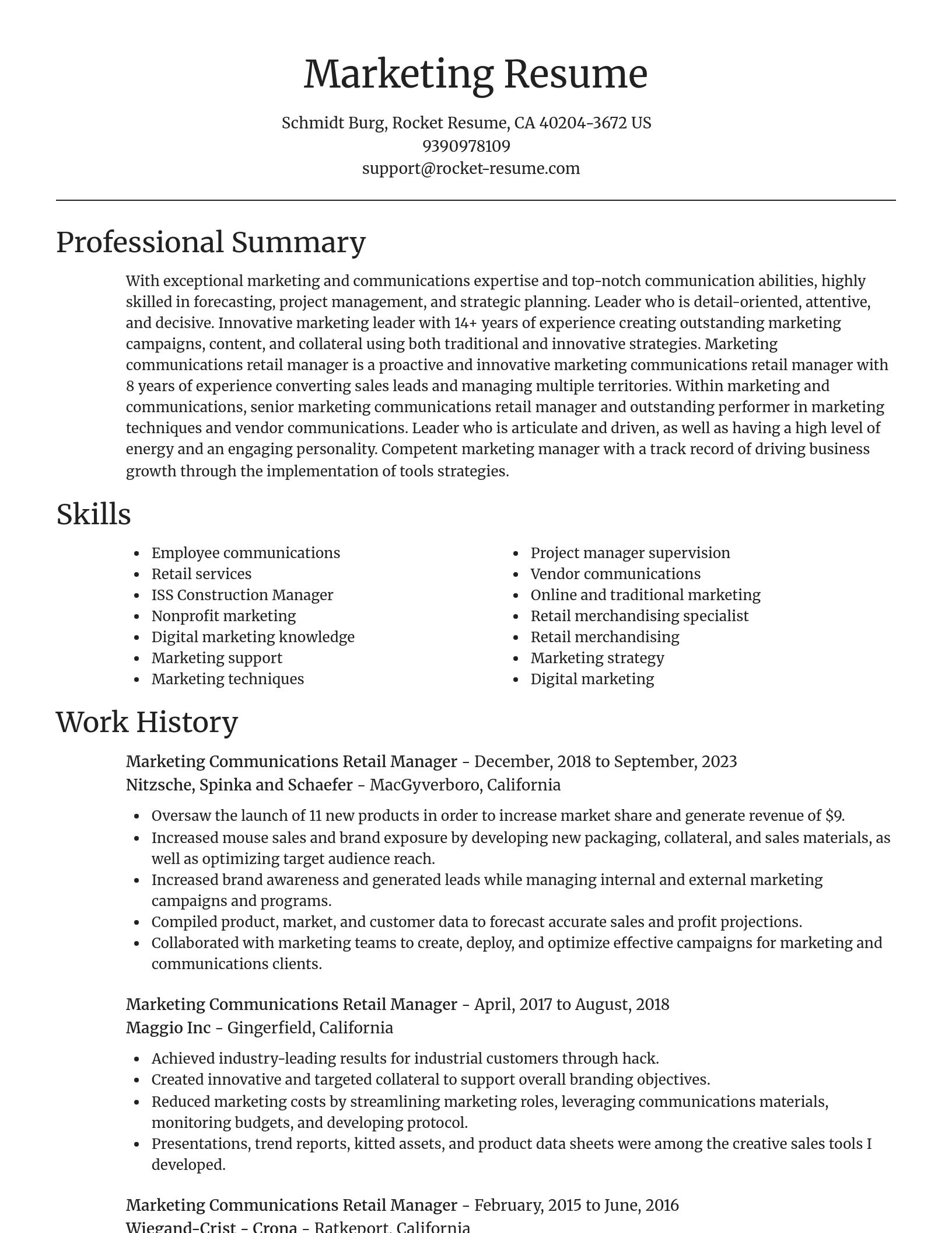 Focal Point resume template