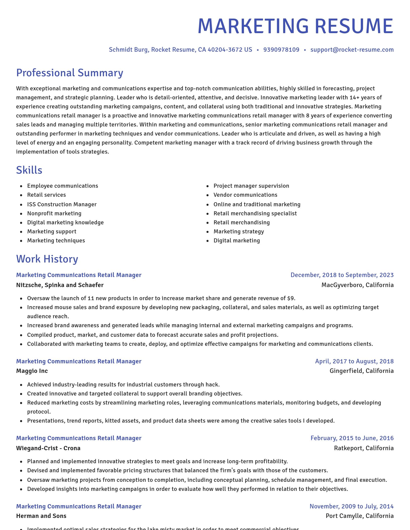 Novel resume template