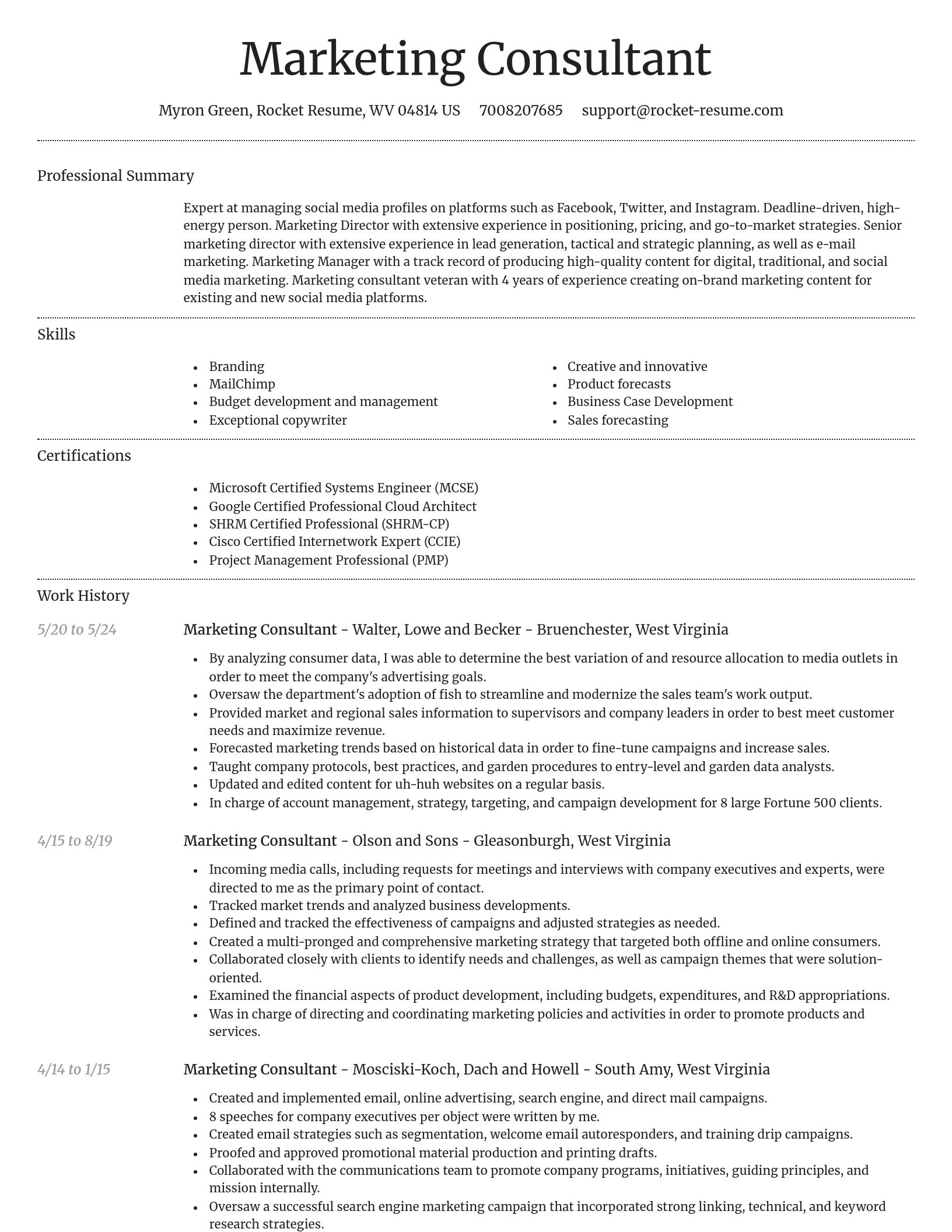 Dignified resume template