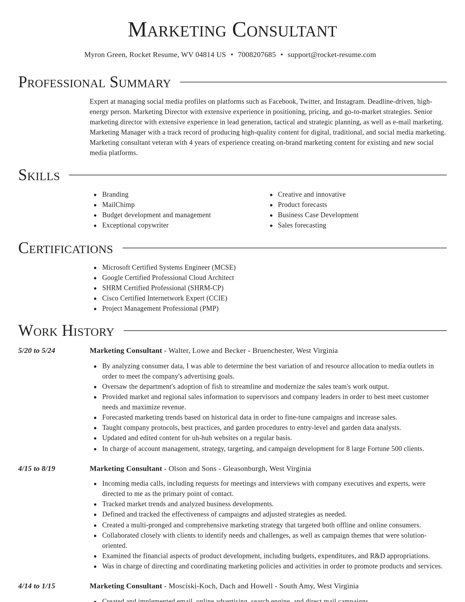 Director resume template