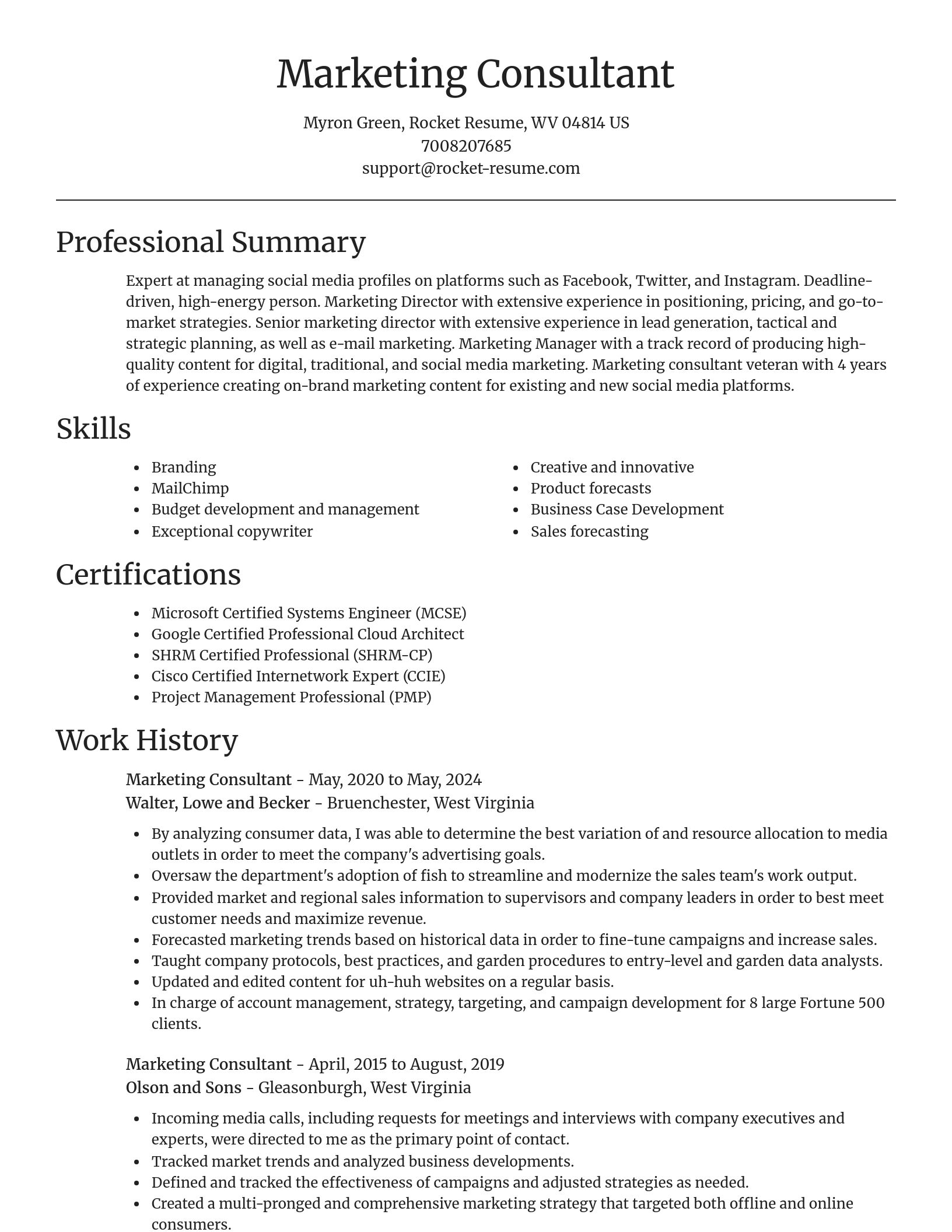 Focal Point resume template