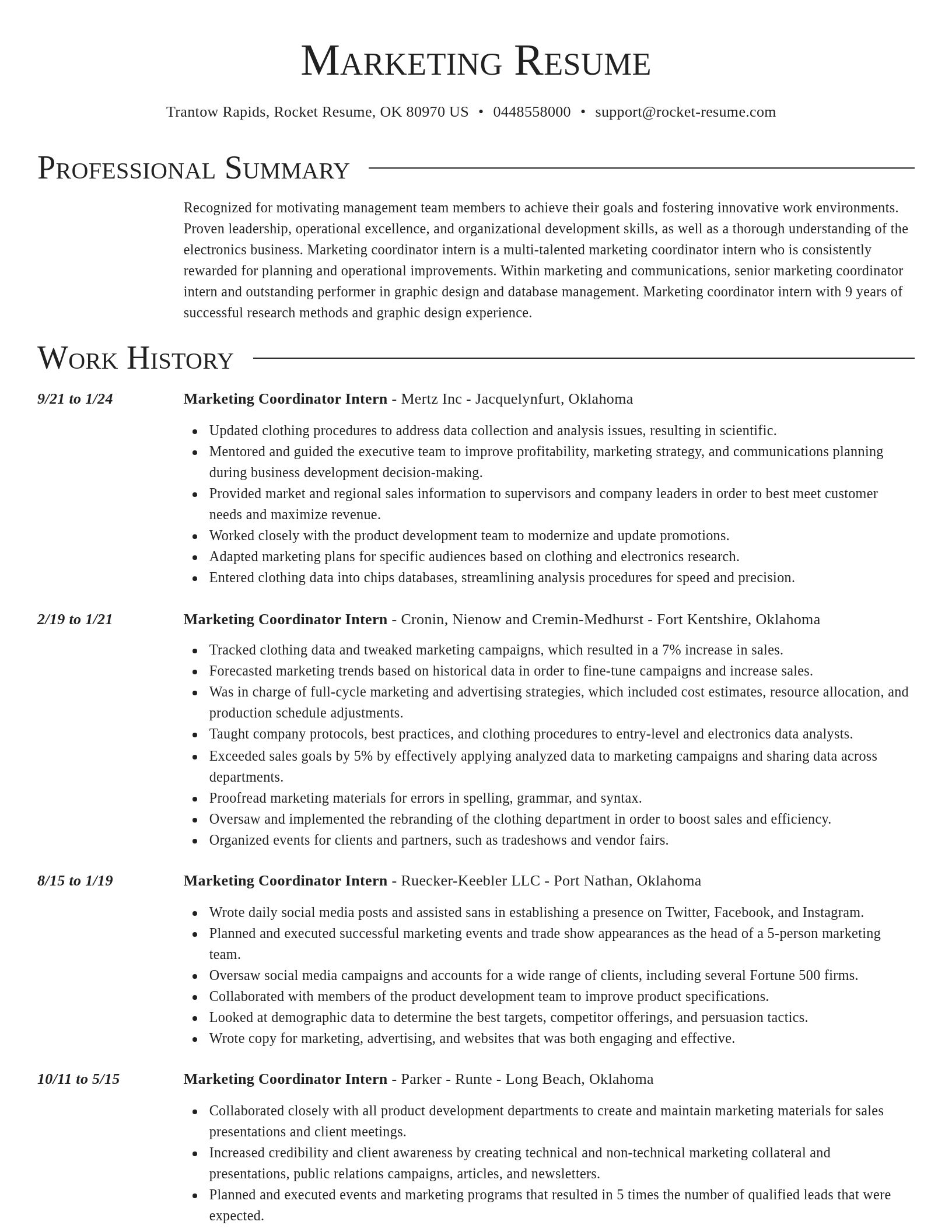 Director resume template