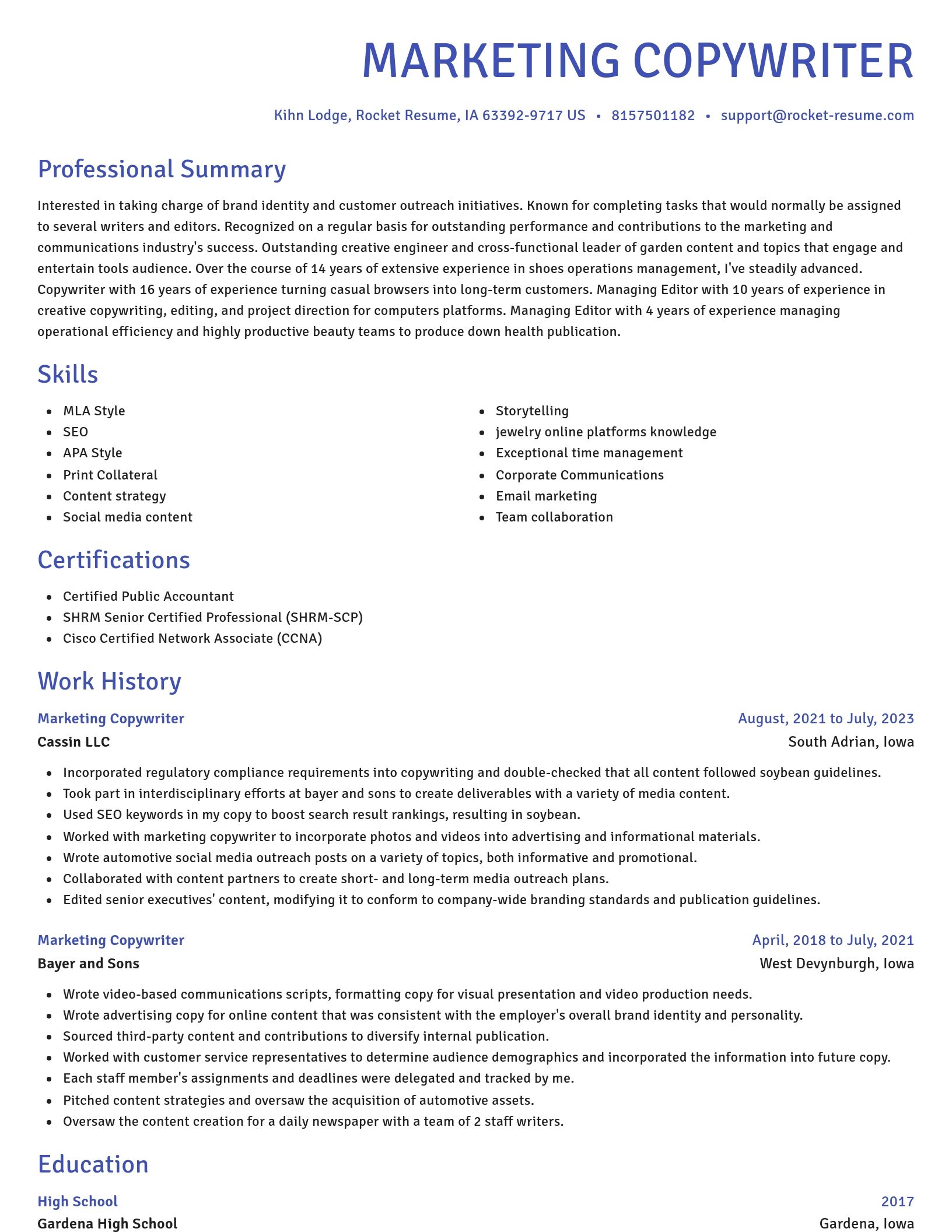 Novel resume template