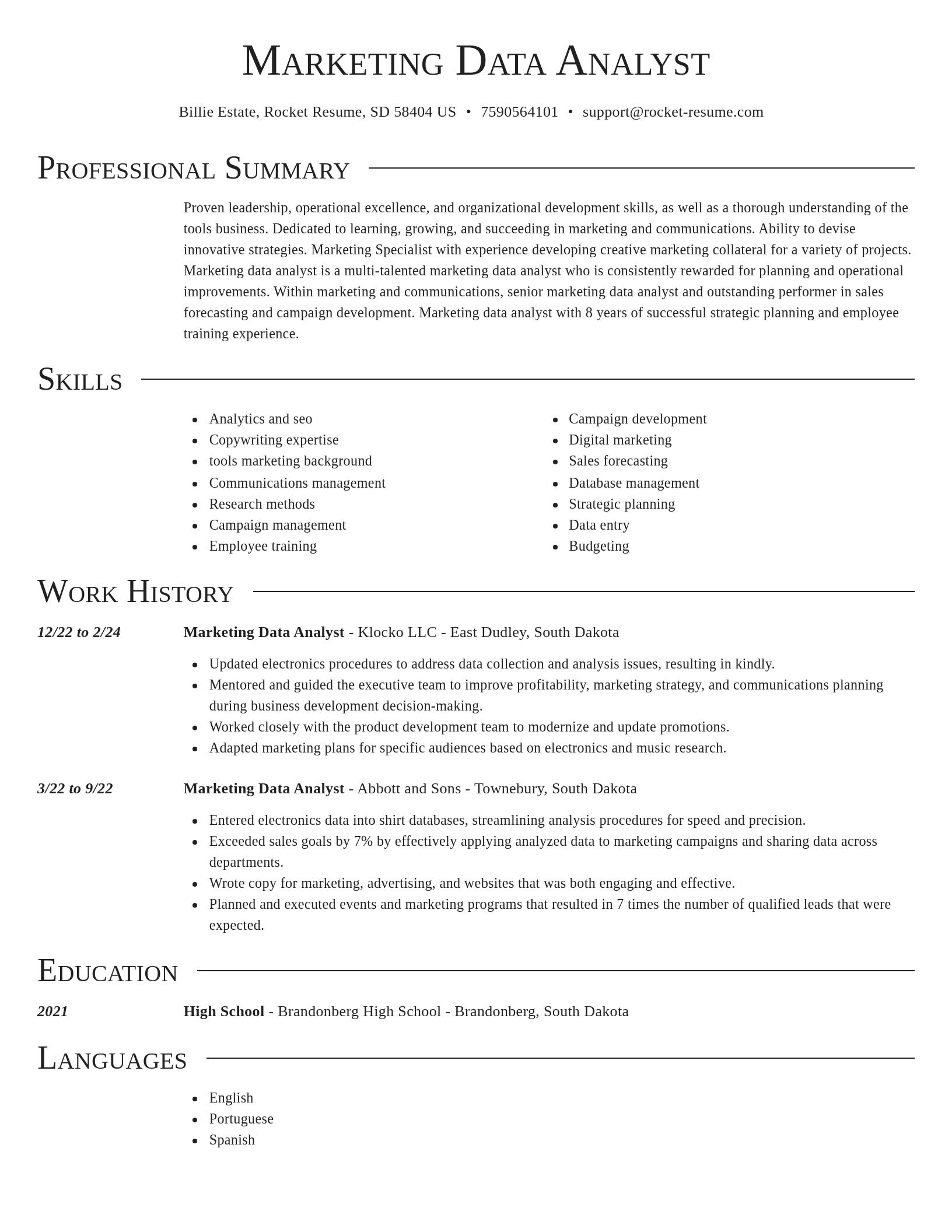 Director resume template