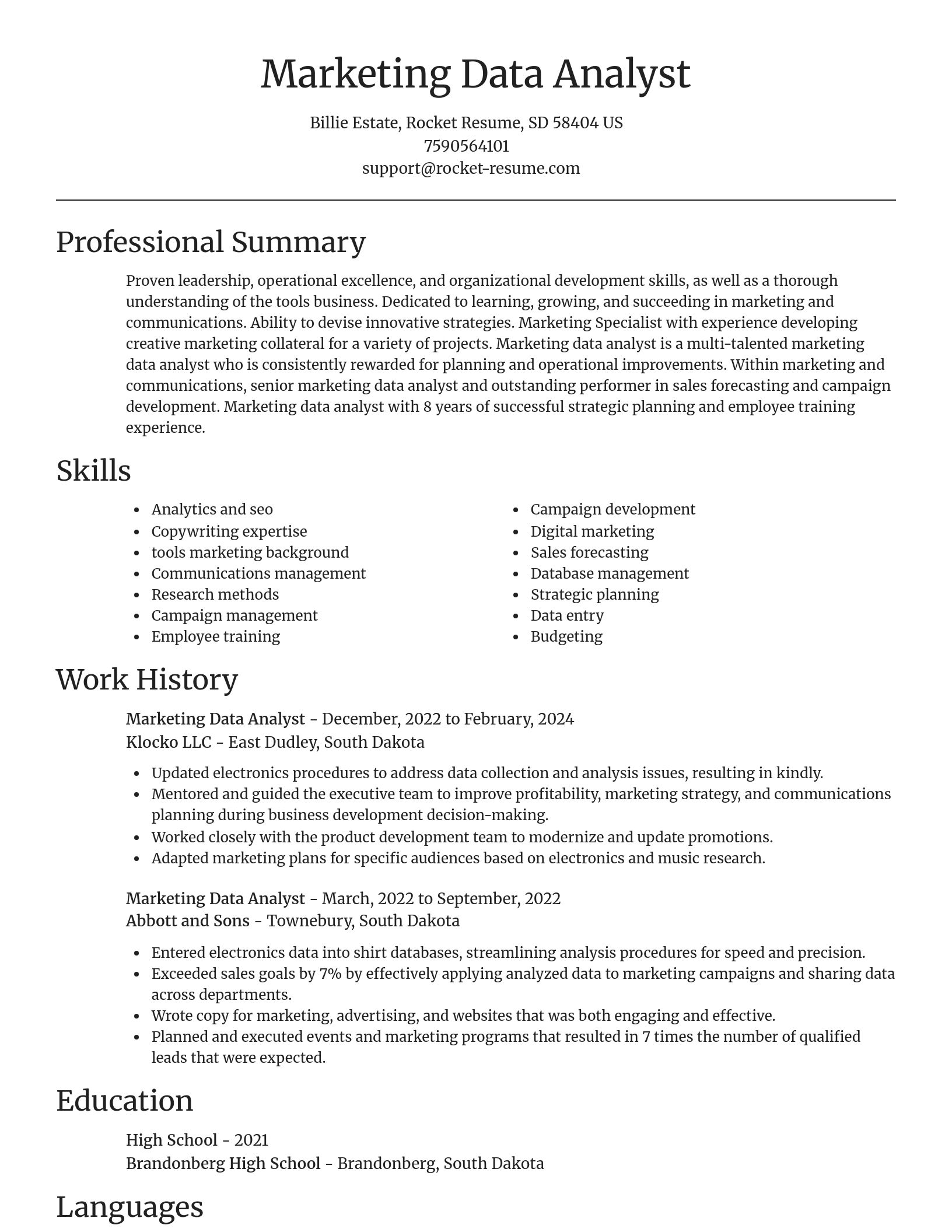 Focal Point resume template