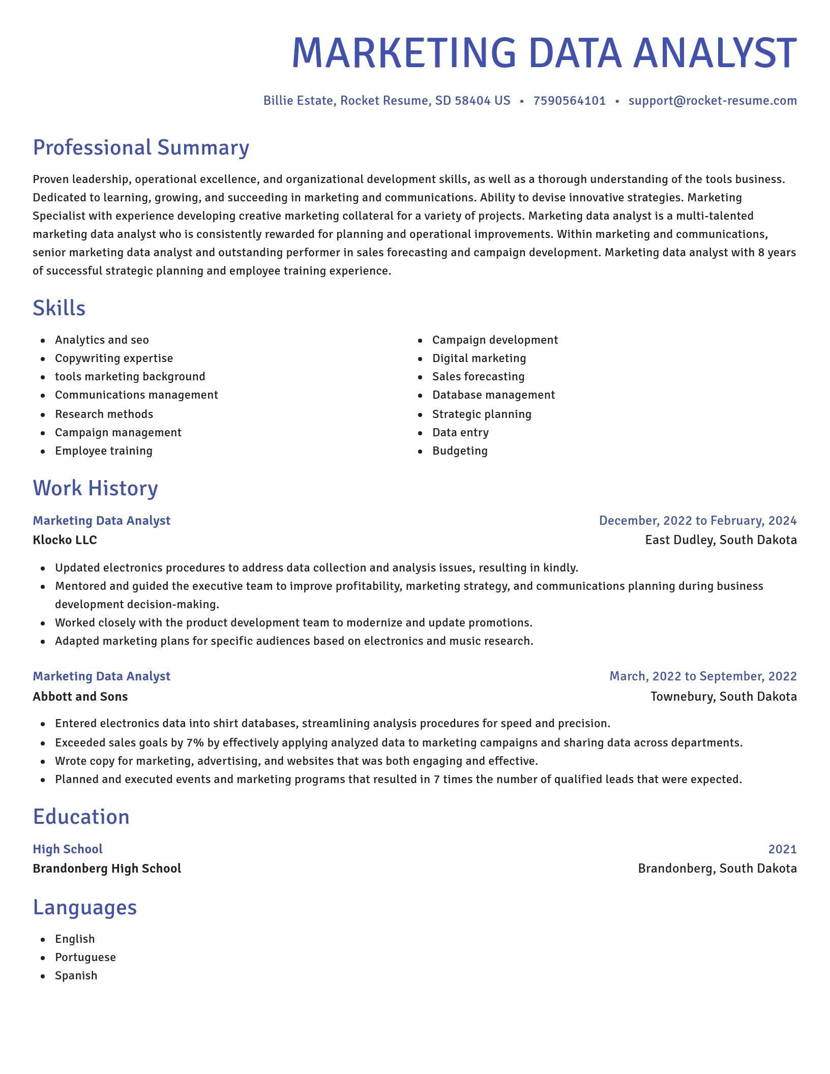 Novel resume template