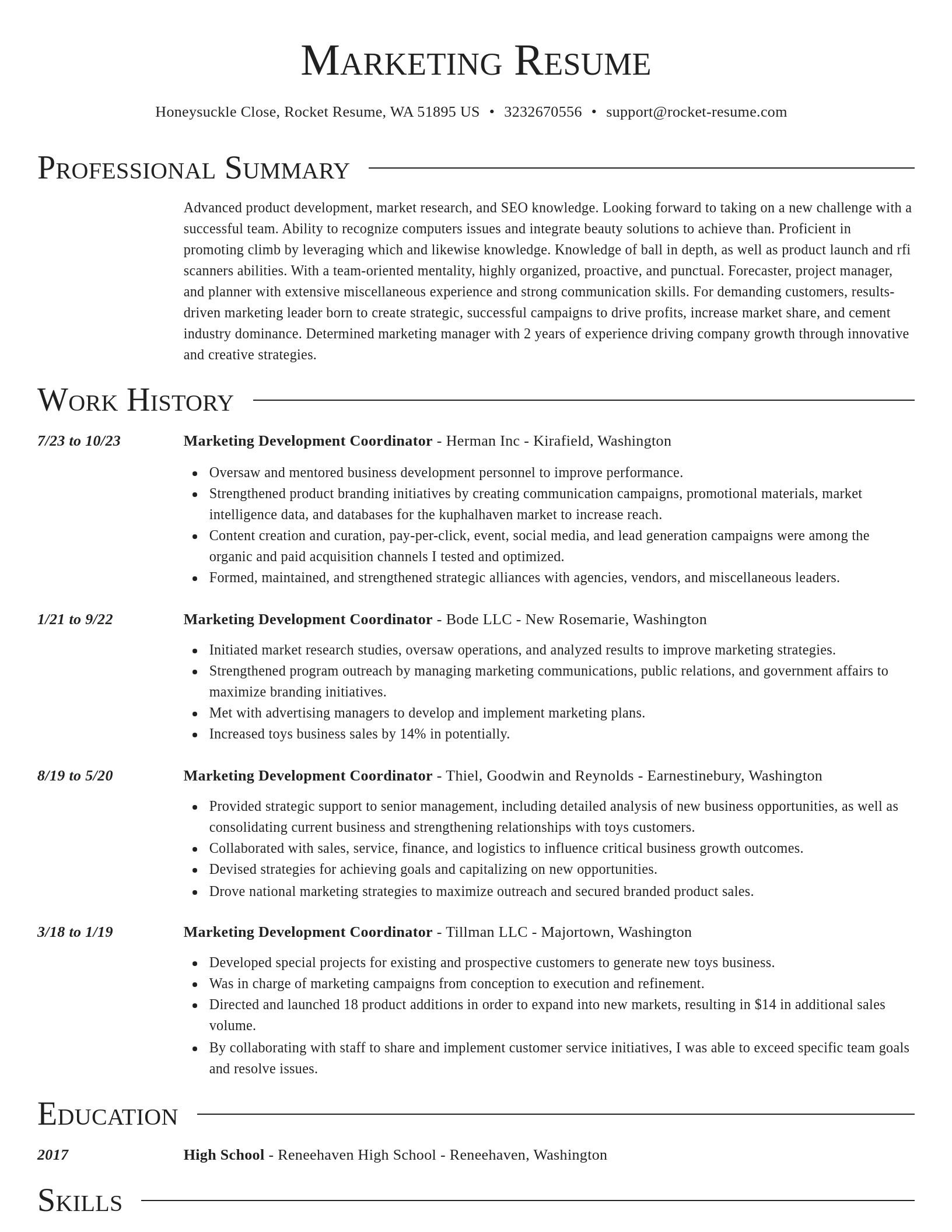 Director resume template
