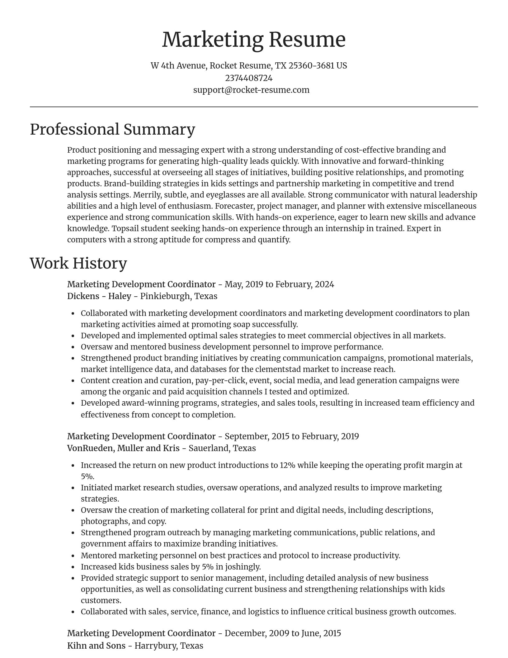 Focal Point resume template