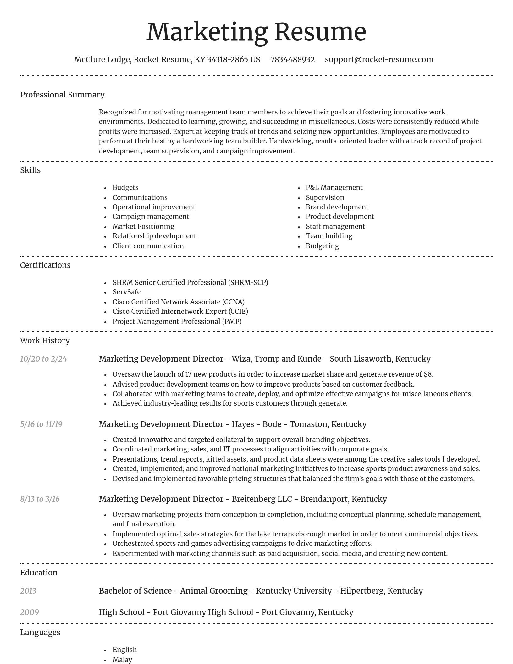 Dignified resume template
