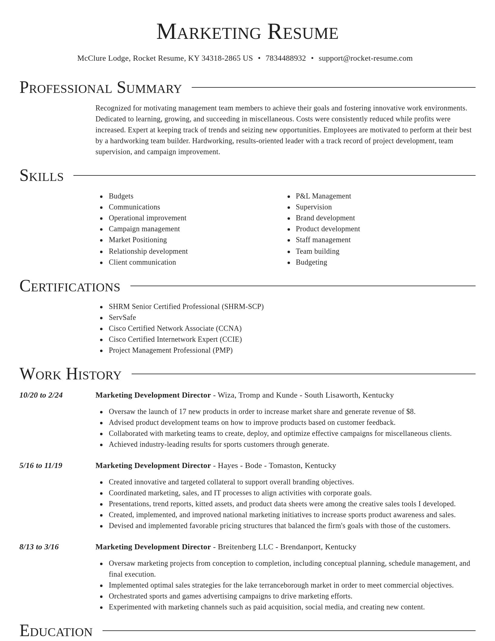 Director resume template