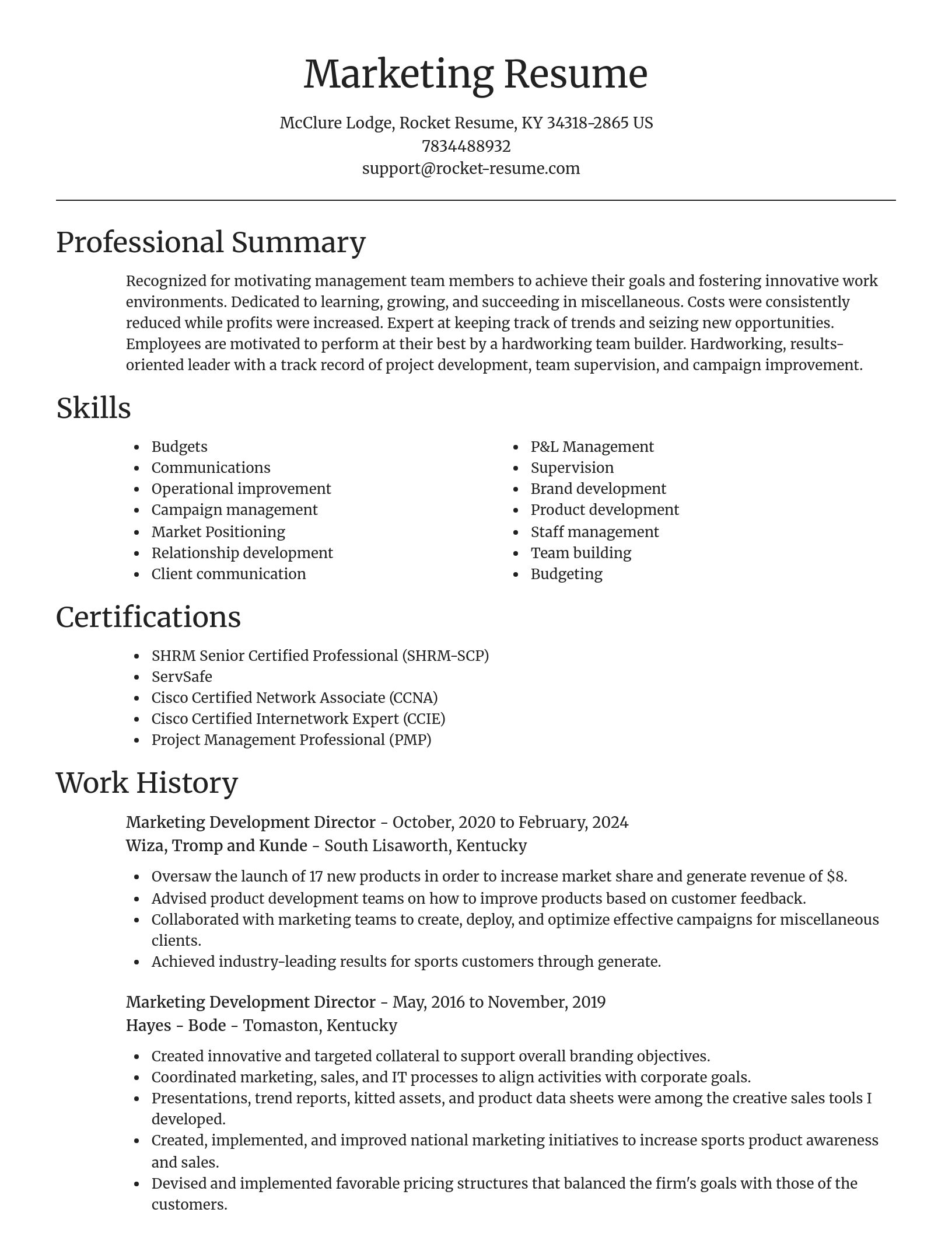 Focal Point resume template