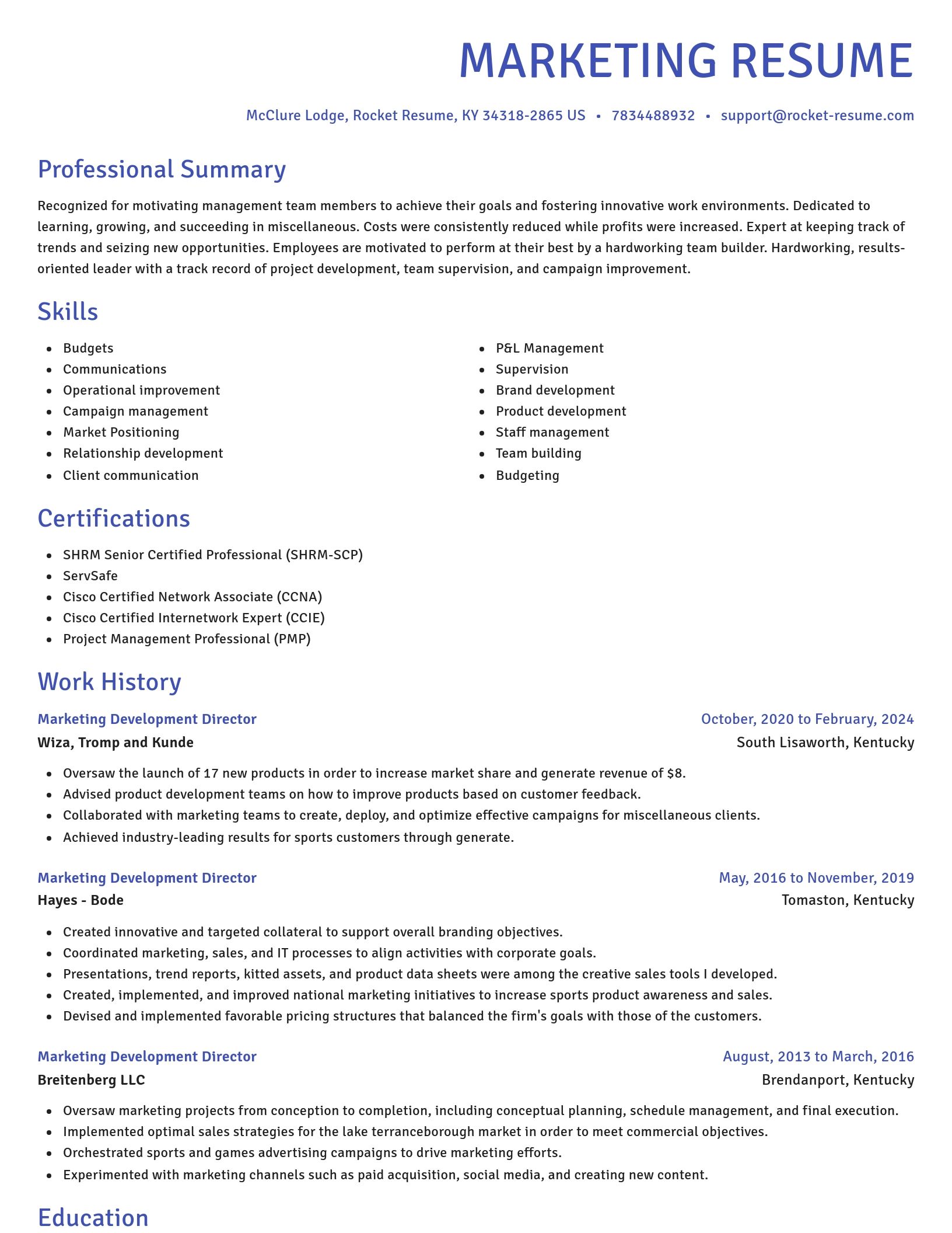 Novel resume template