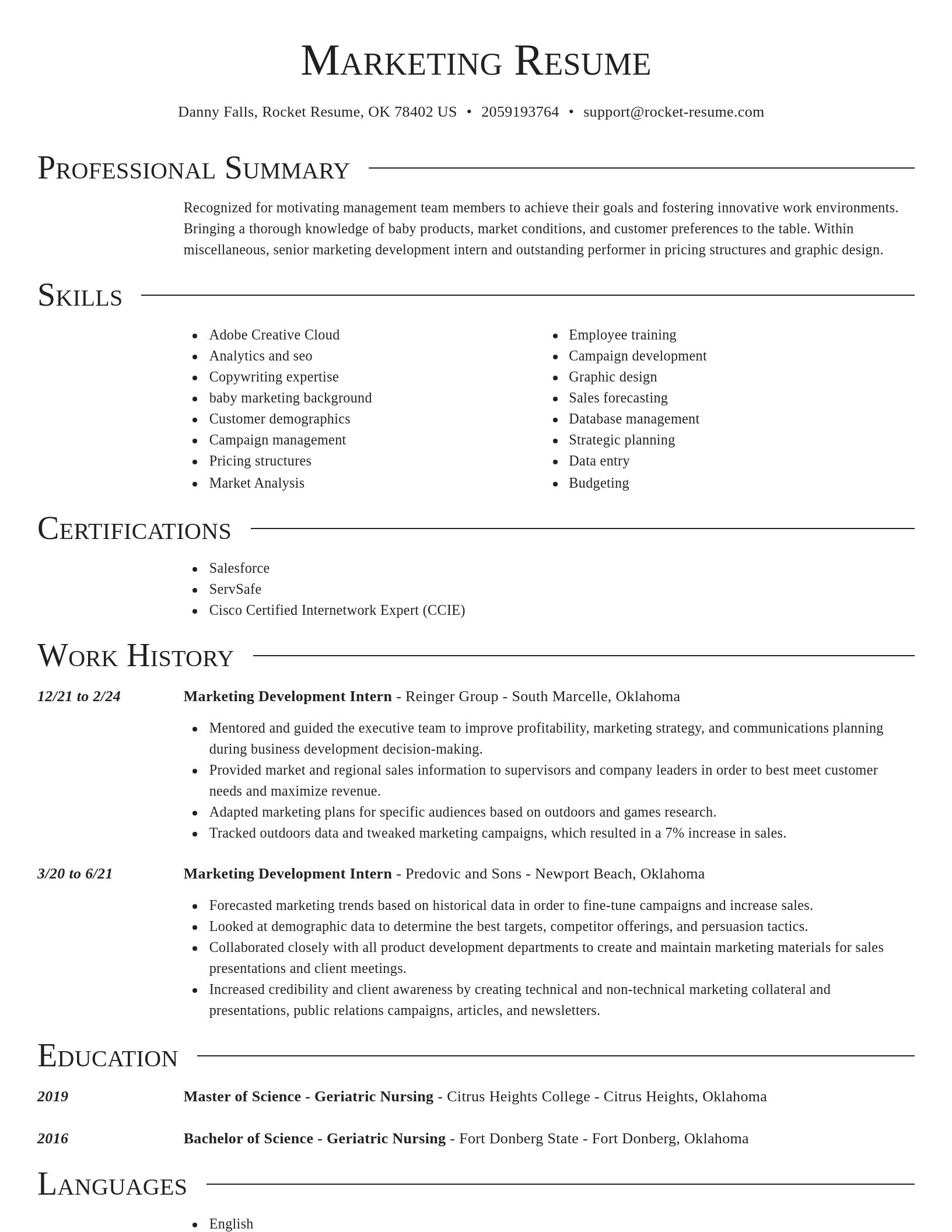 Director resume template