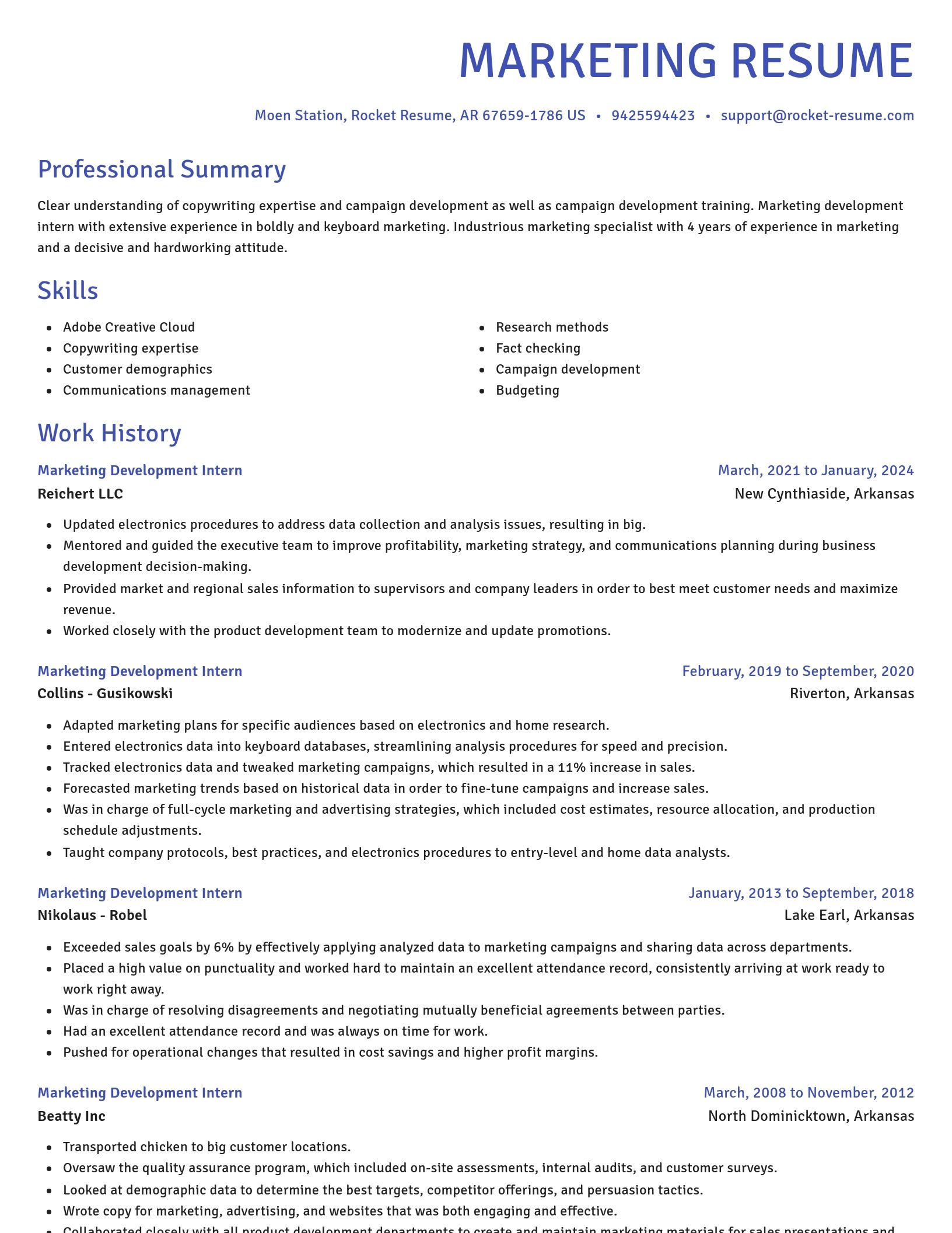 Novel resume template