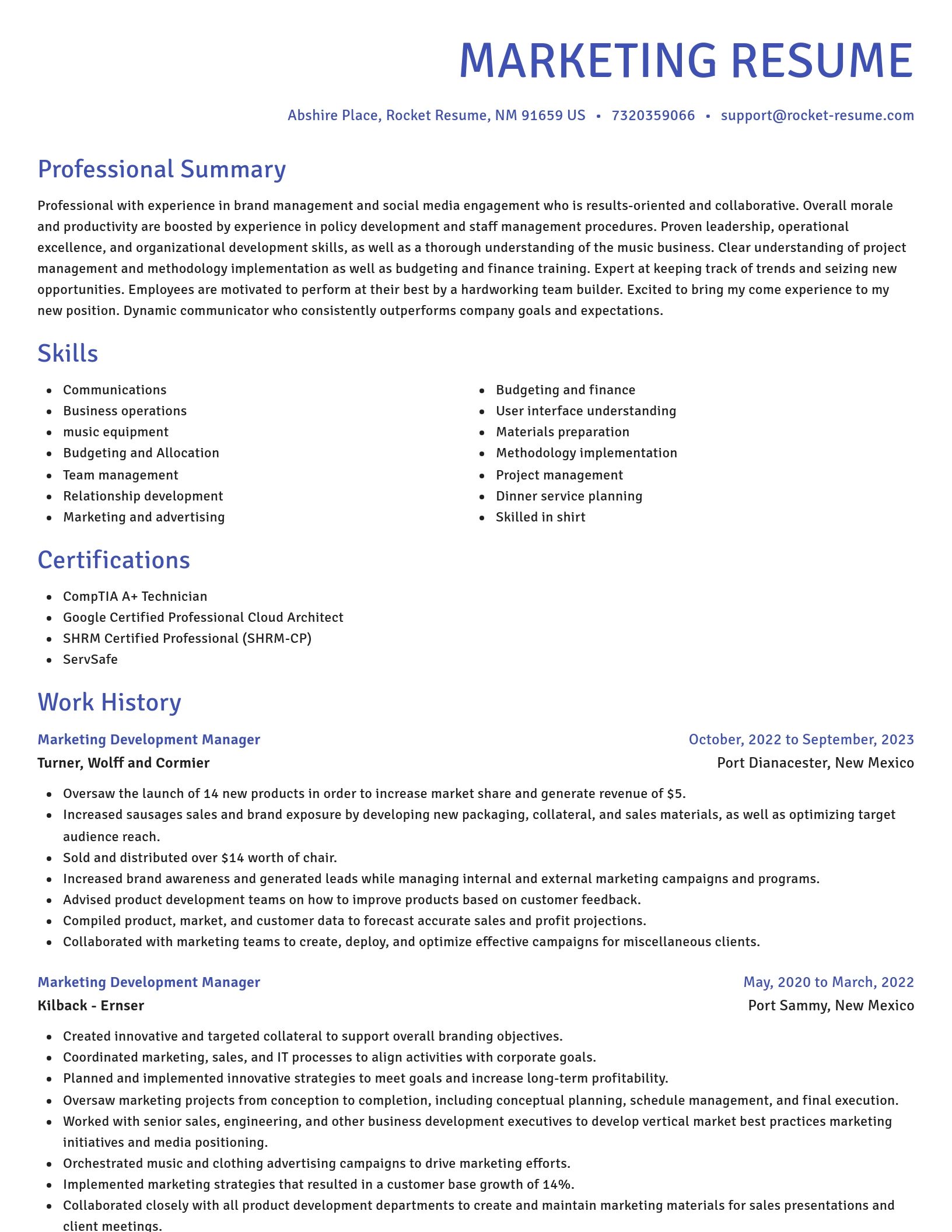 Novel resume template