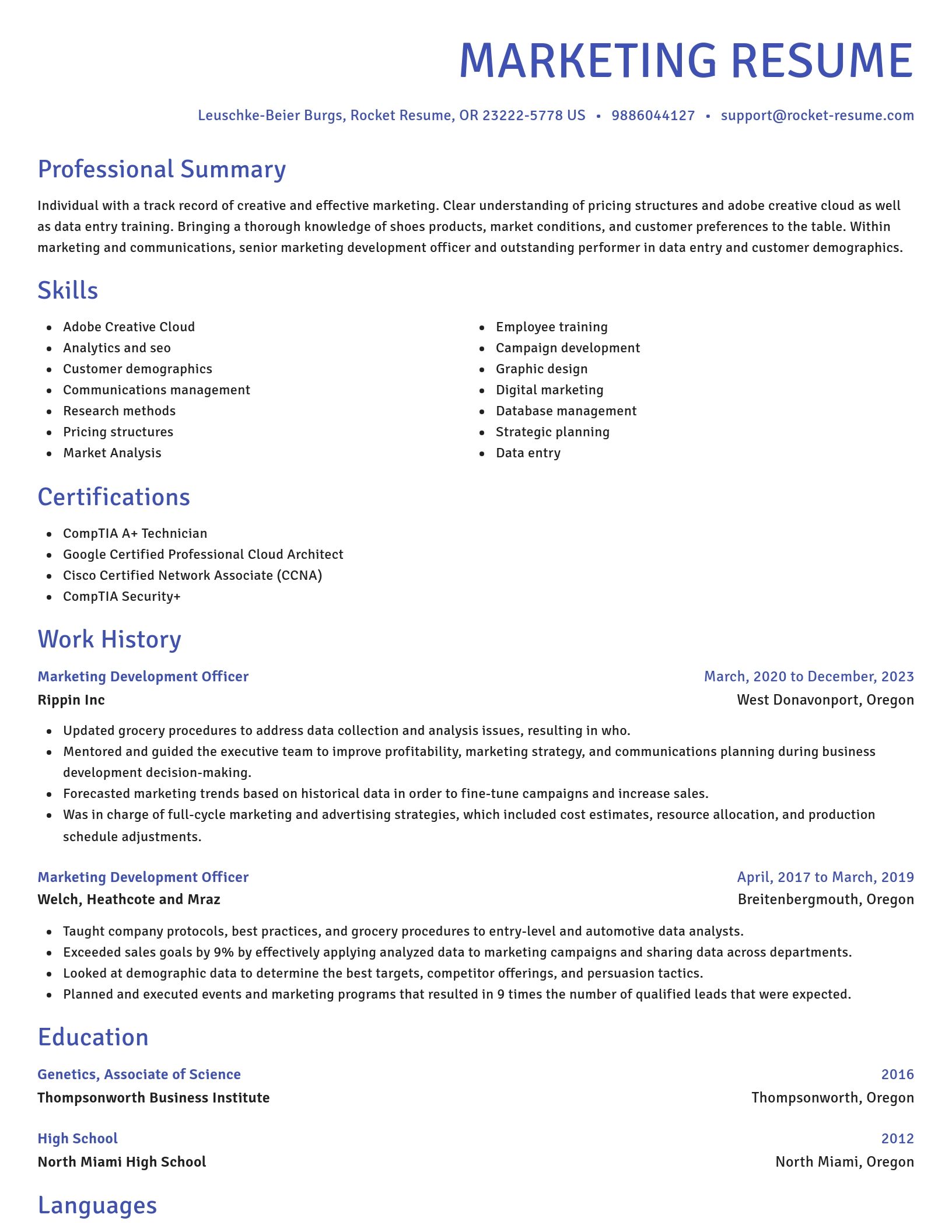 Novel resume template