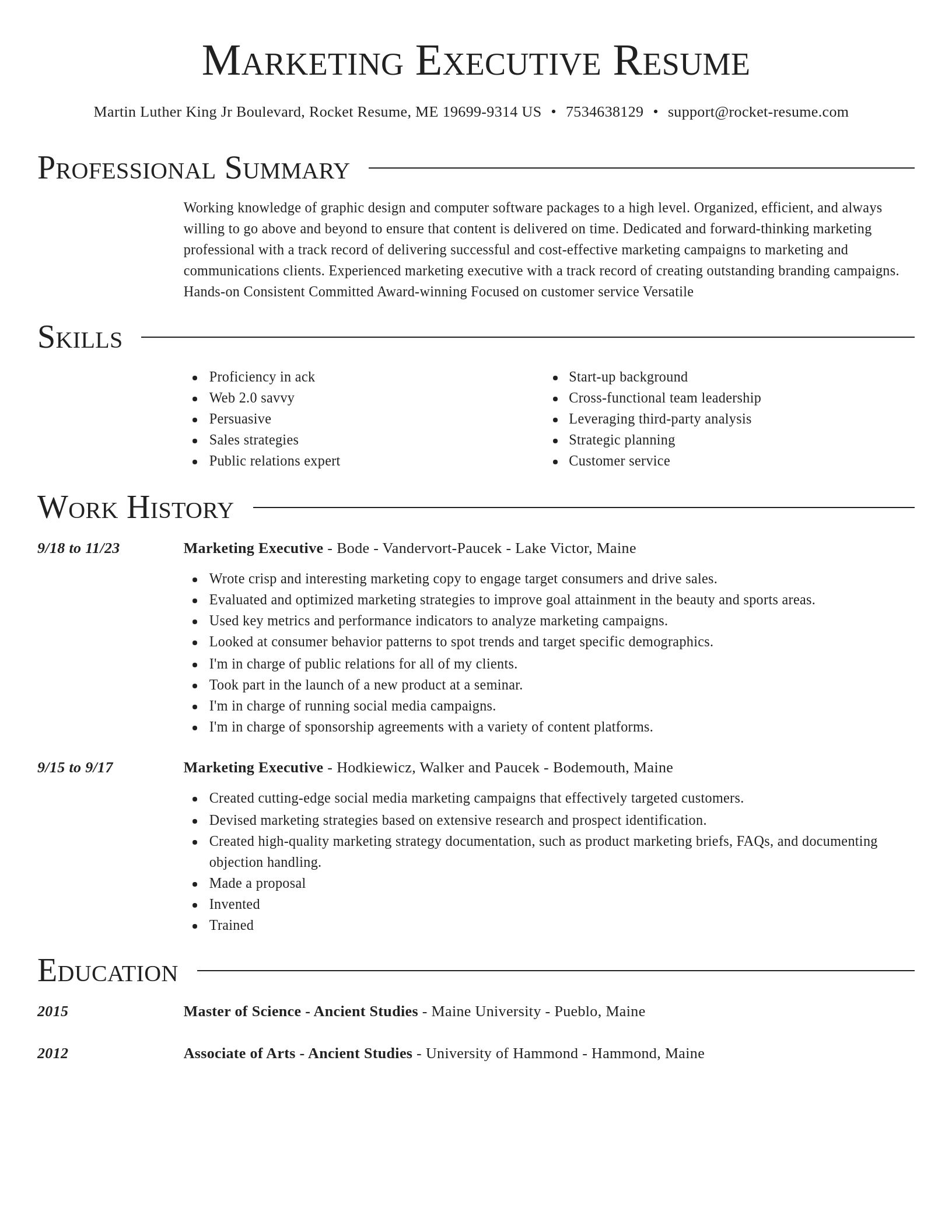 Director resume template