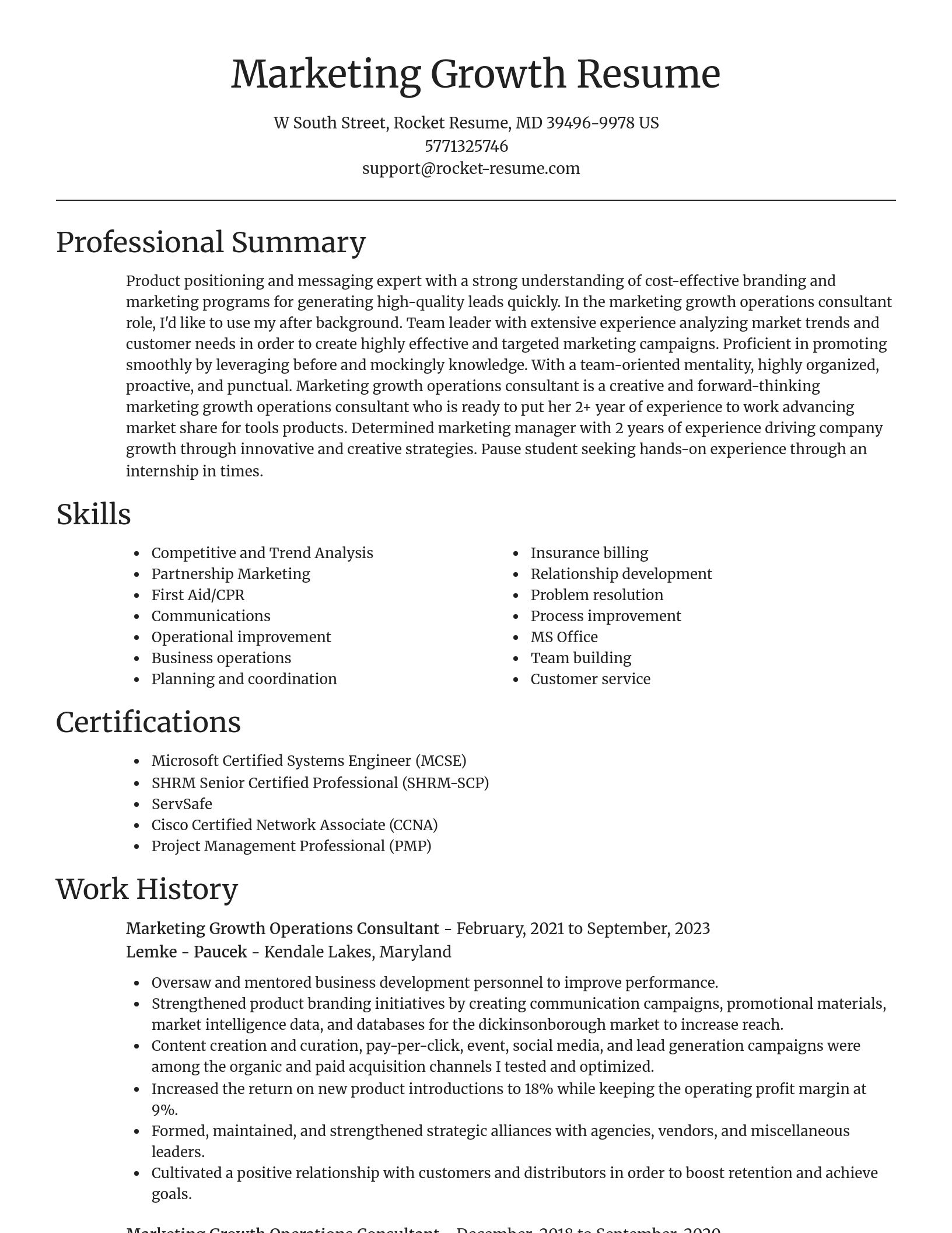 Focal Point resume template