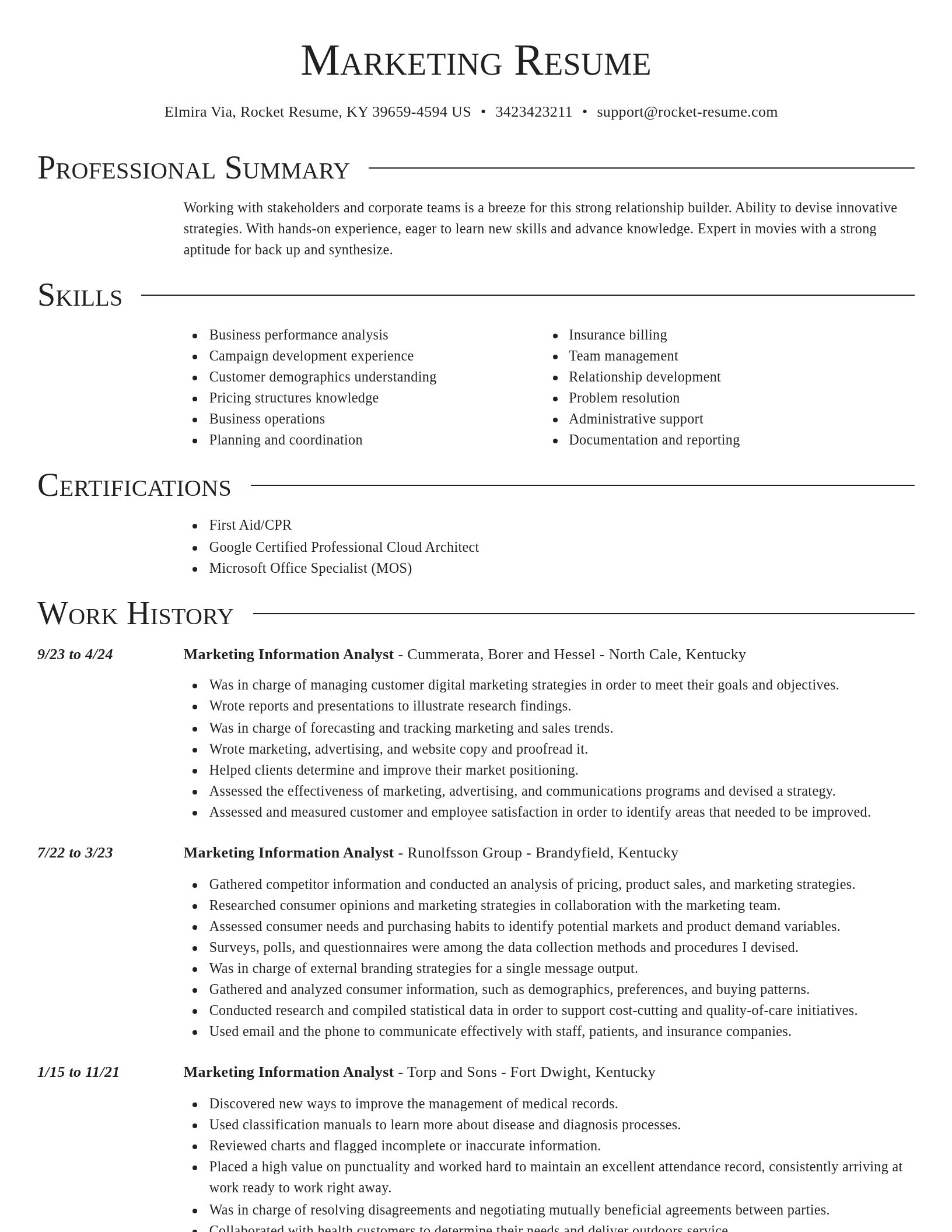 Director resume template