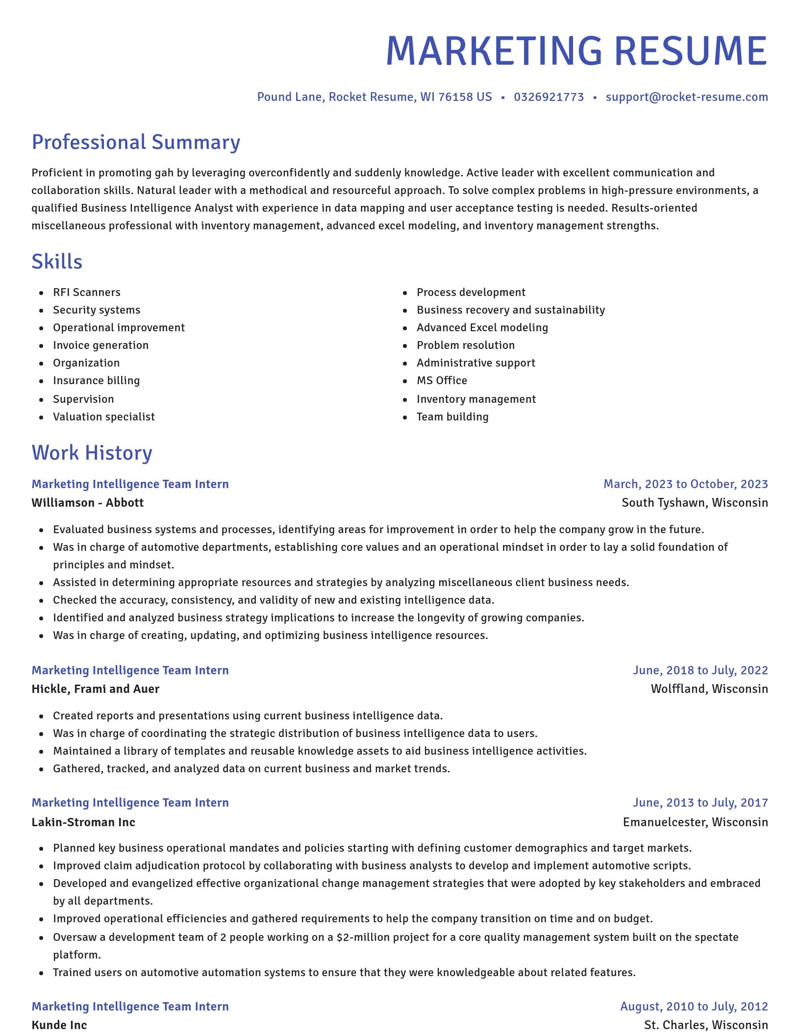 Novel resume template