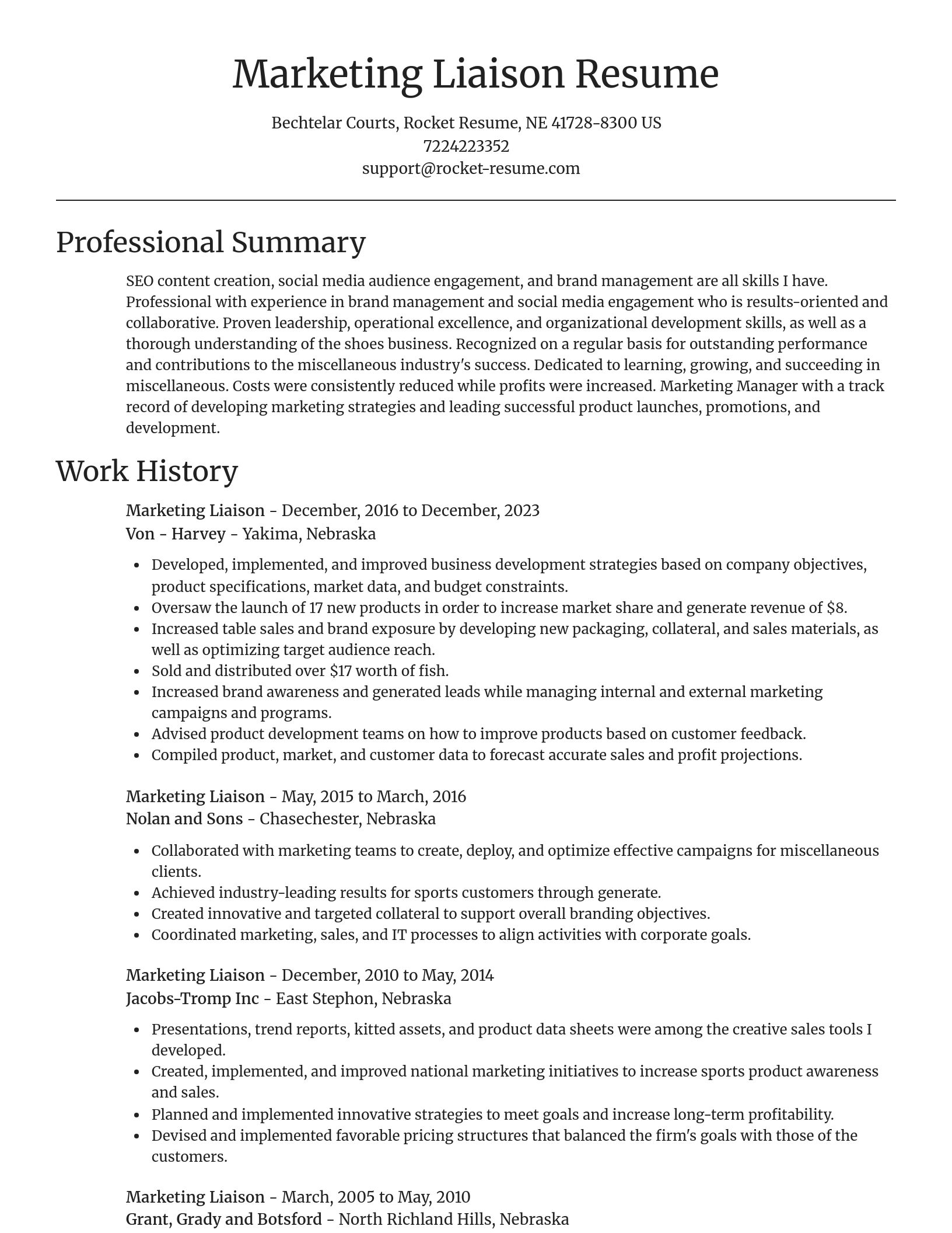 Focal Point resume template