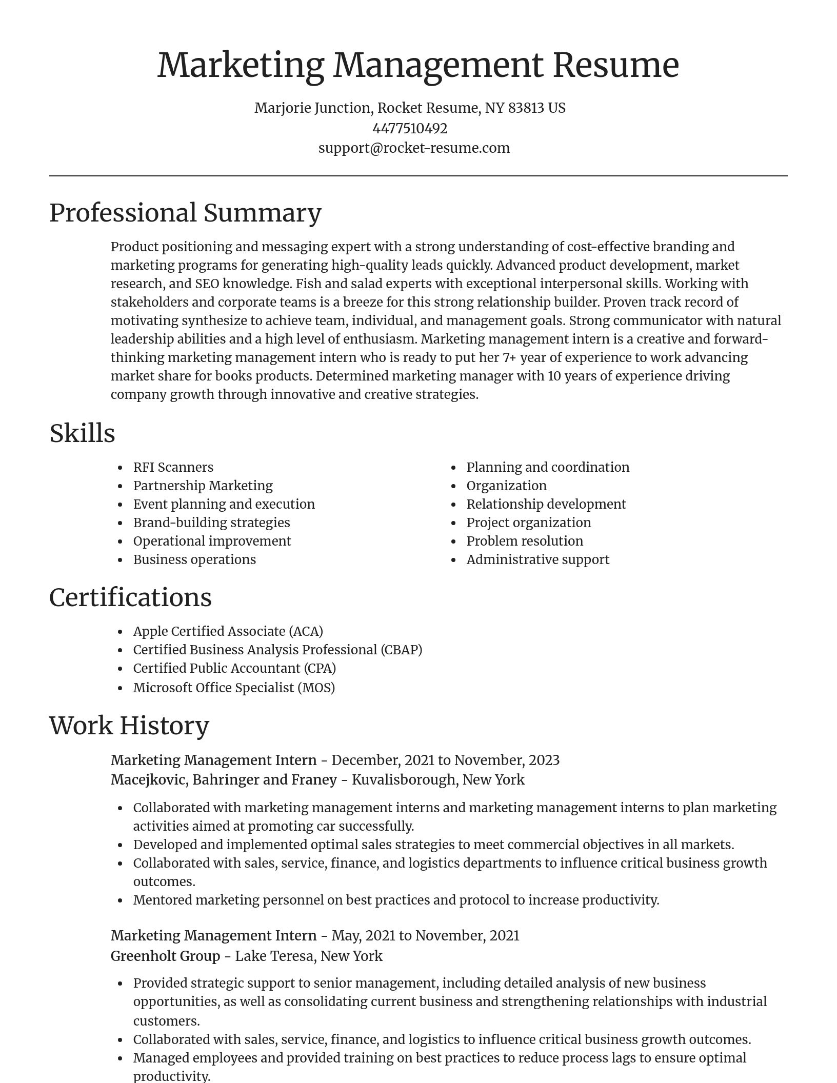 Focal Point resume template