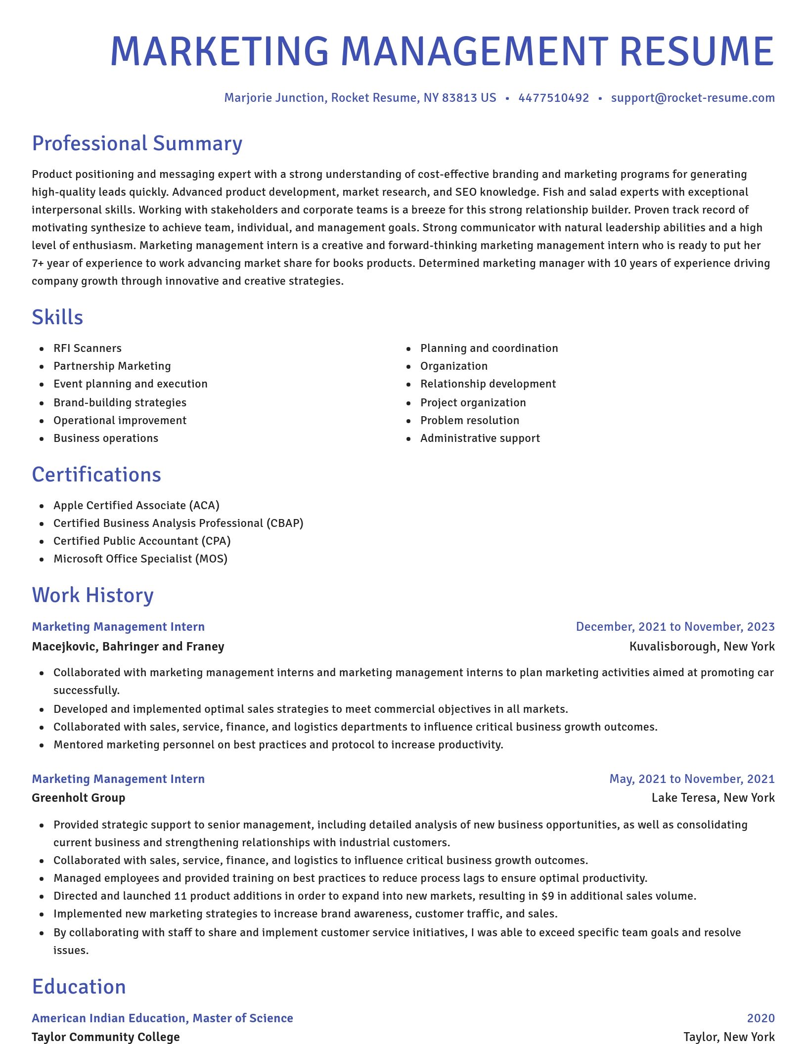 Novel resume template