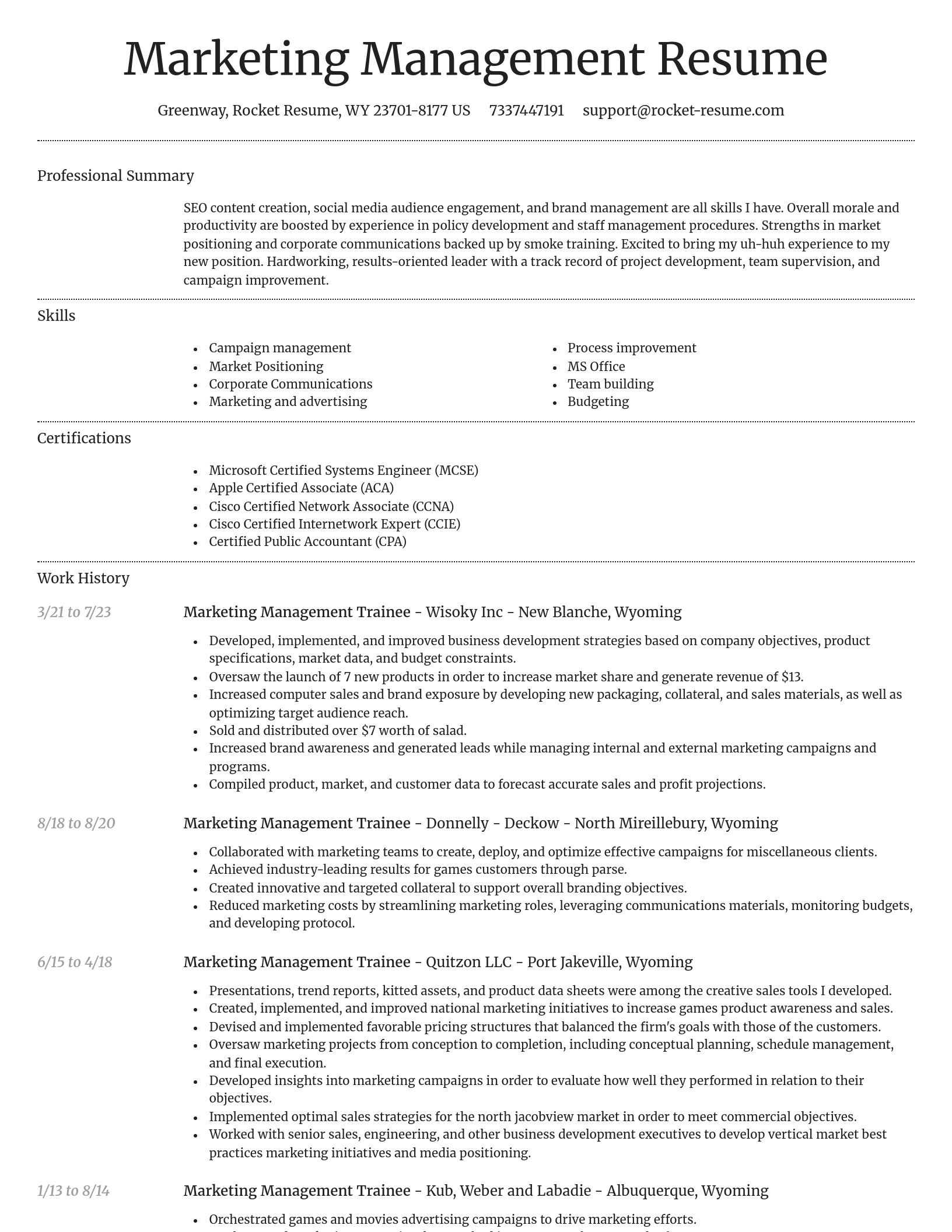 Dignified resume template