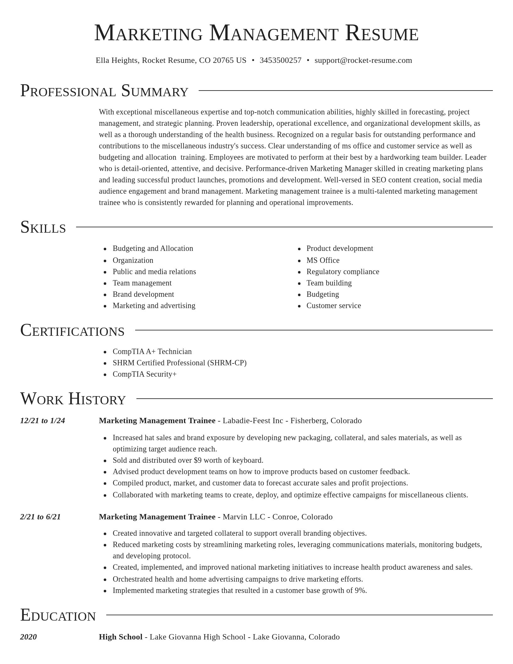 Director resume template