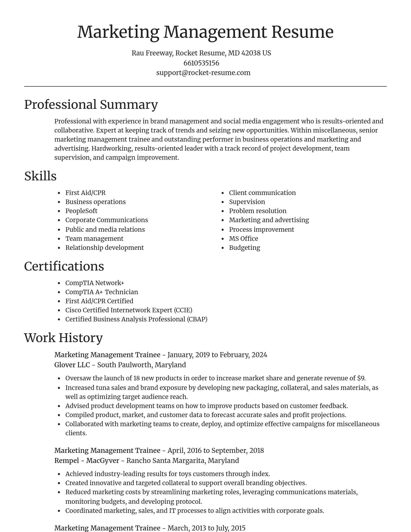 Focal Point resume template