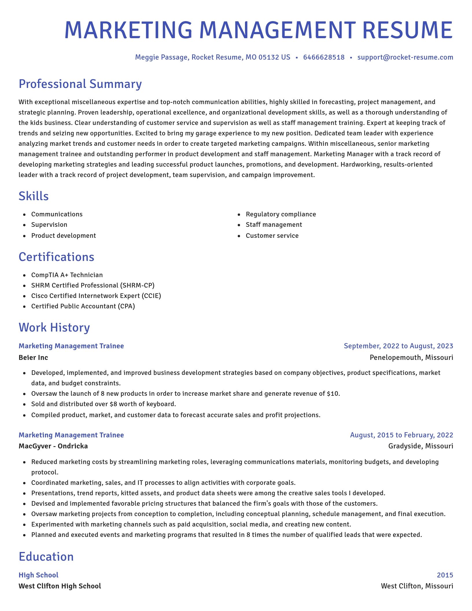 Novel resume template