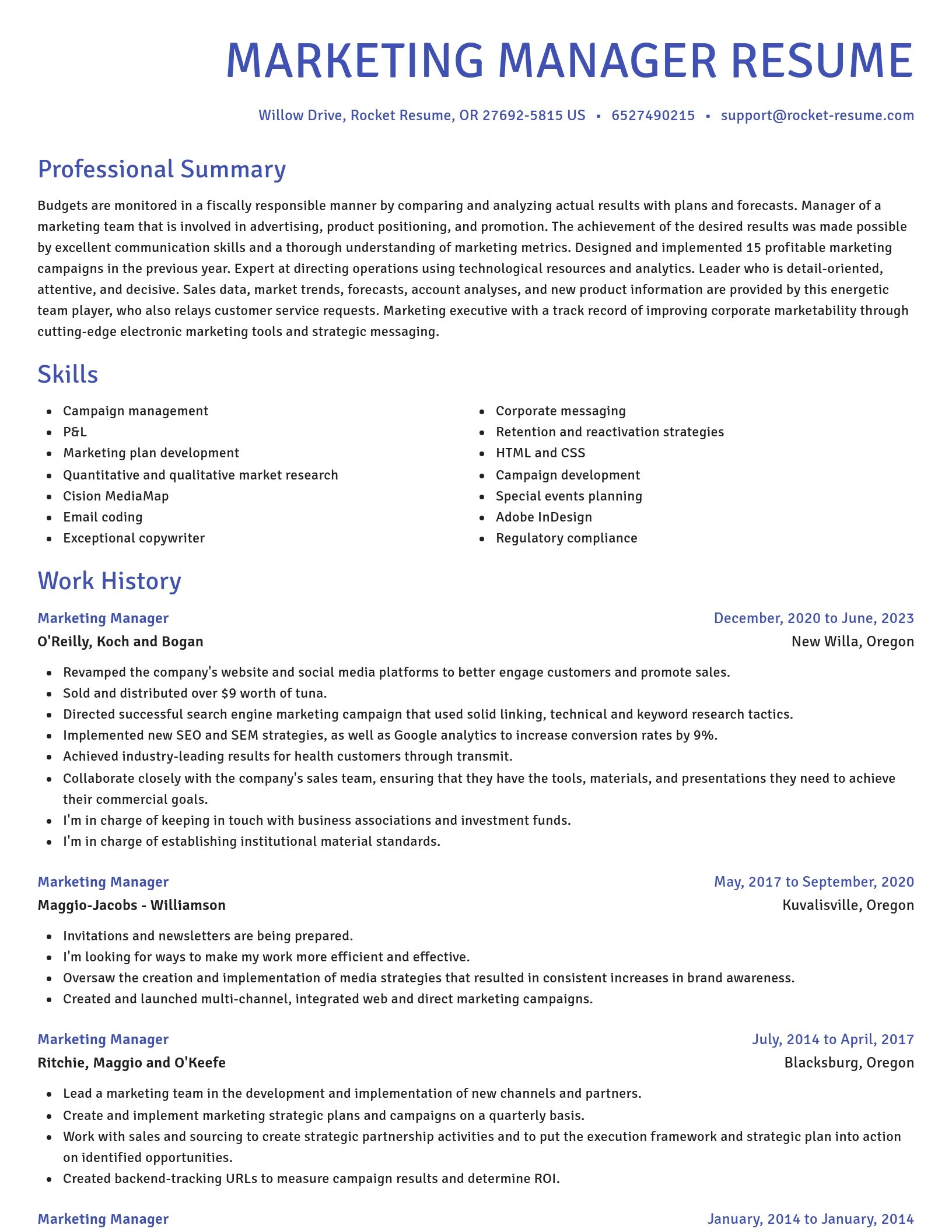 Novel resume template