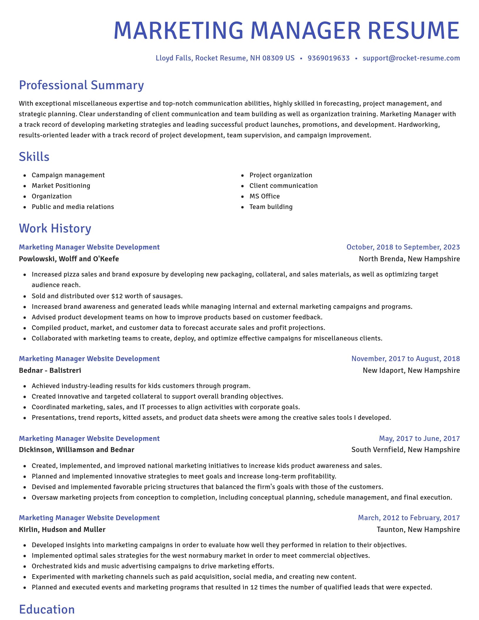 Novel resume template