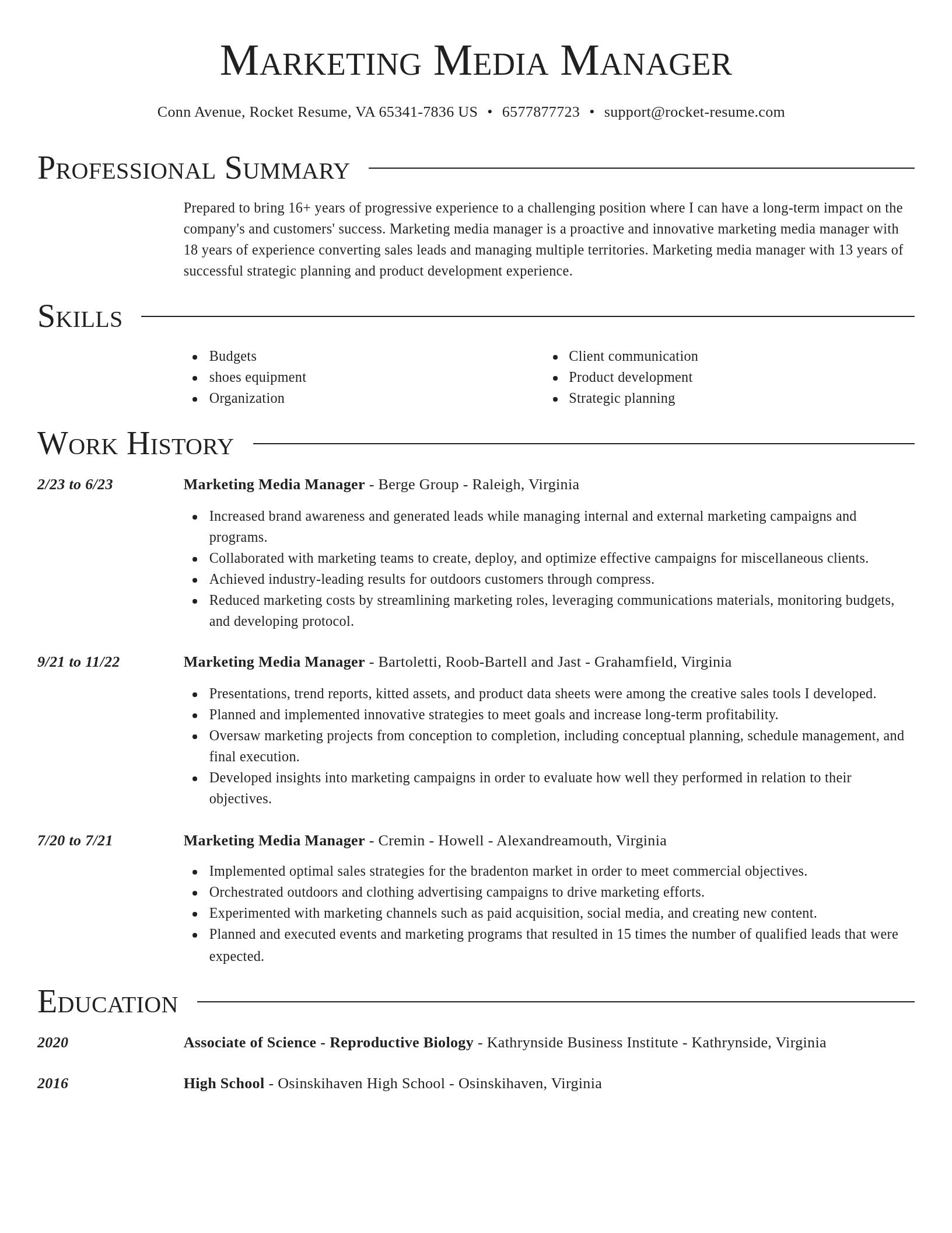 Director resume template