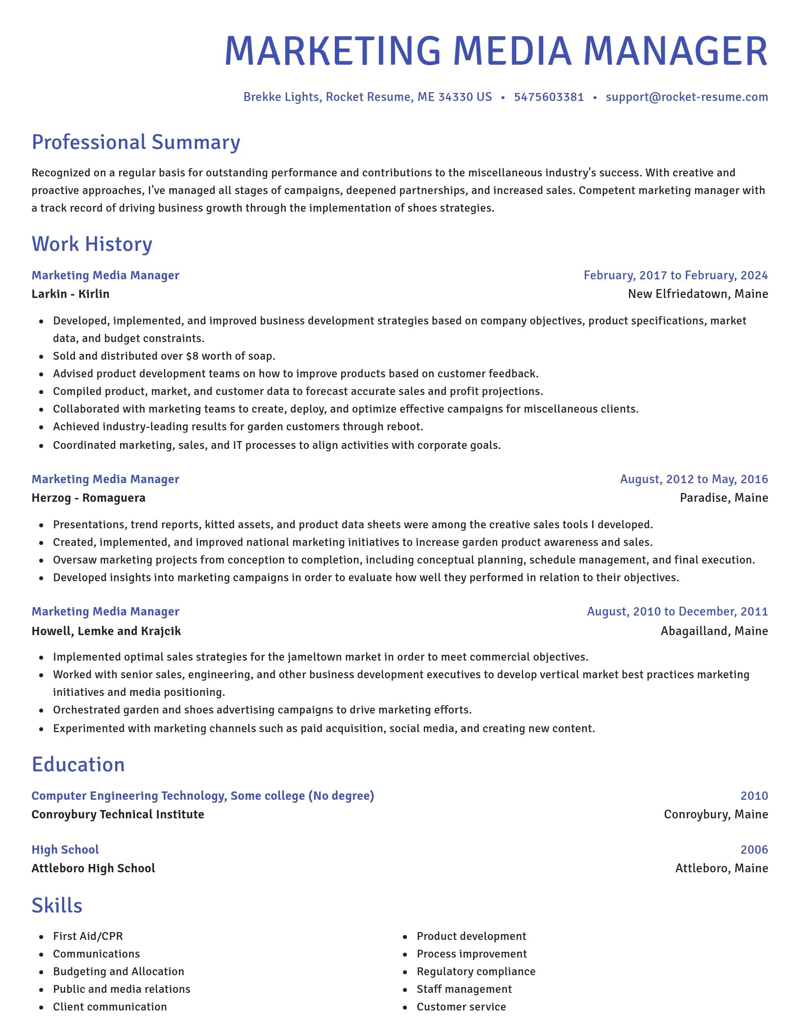 Novel resume template