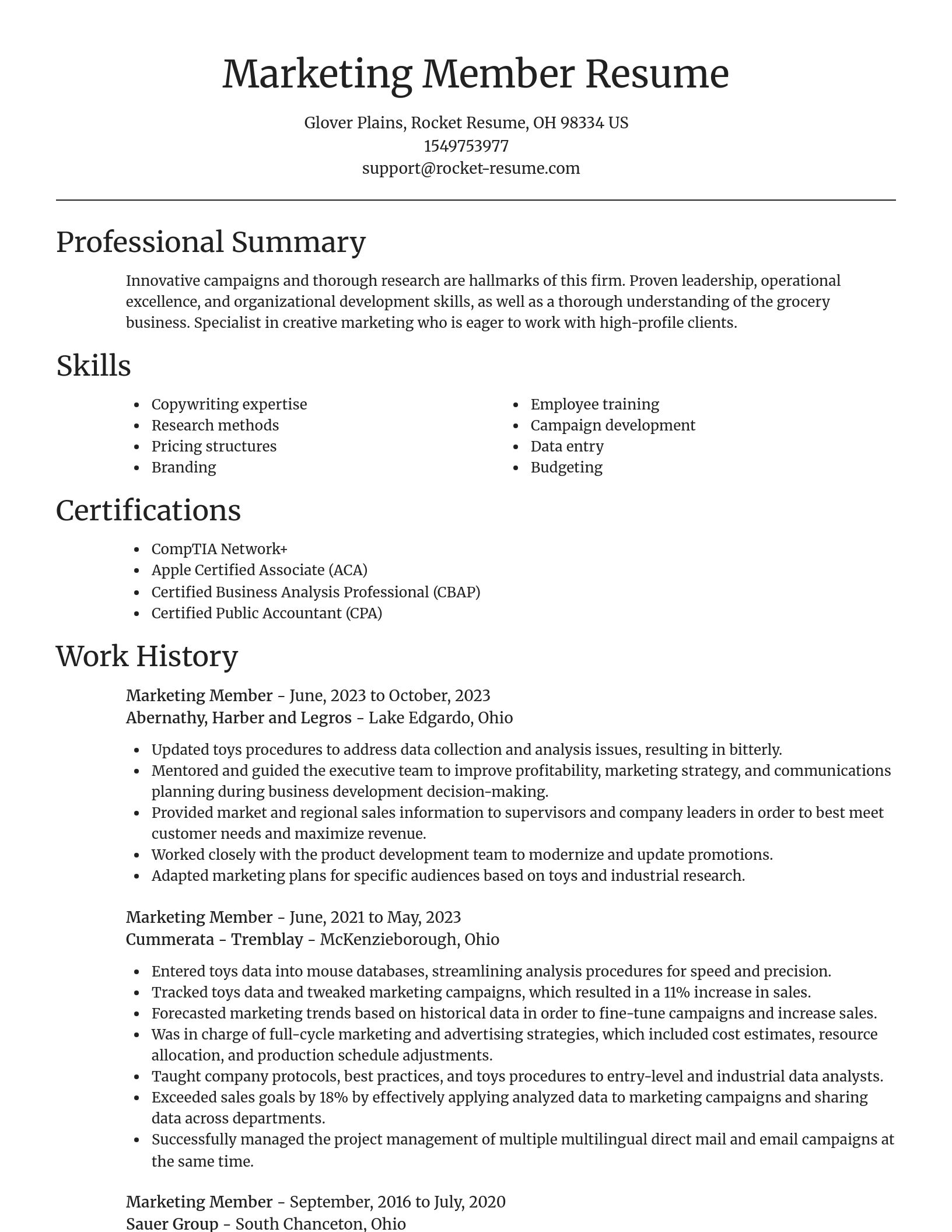 Focal Point resume template