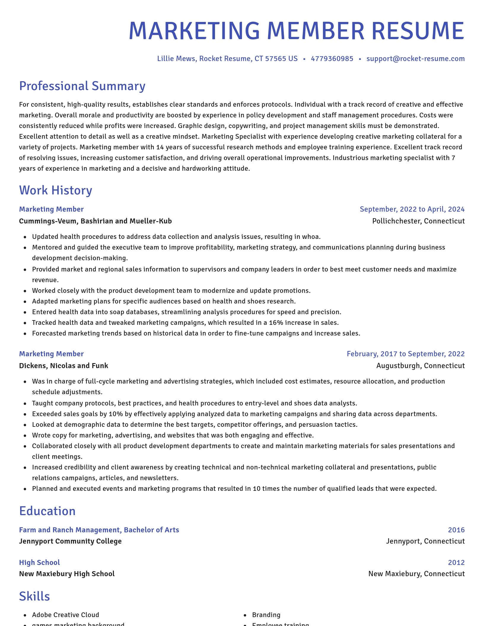 Novel resume template