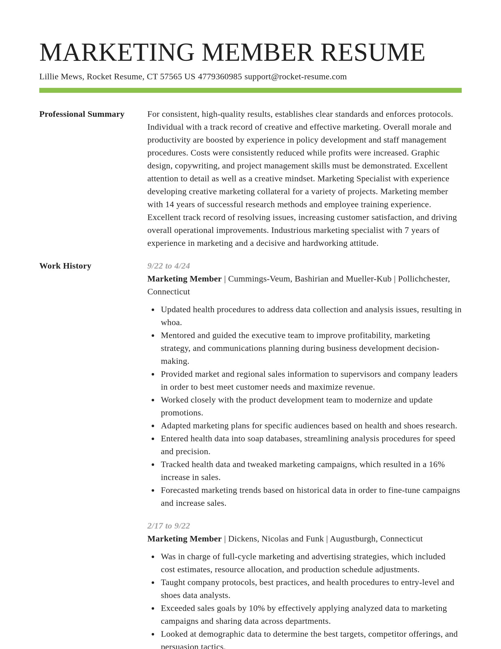 Smart resume template