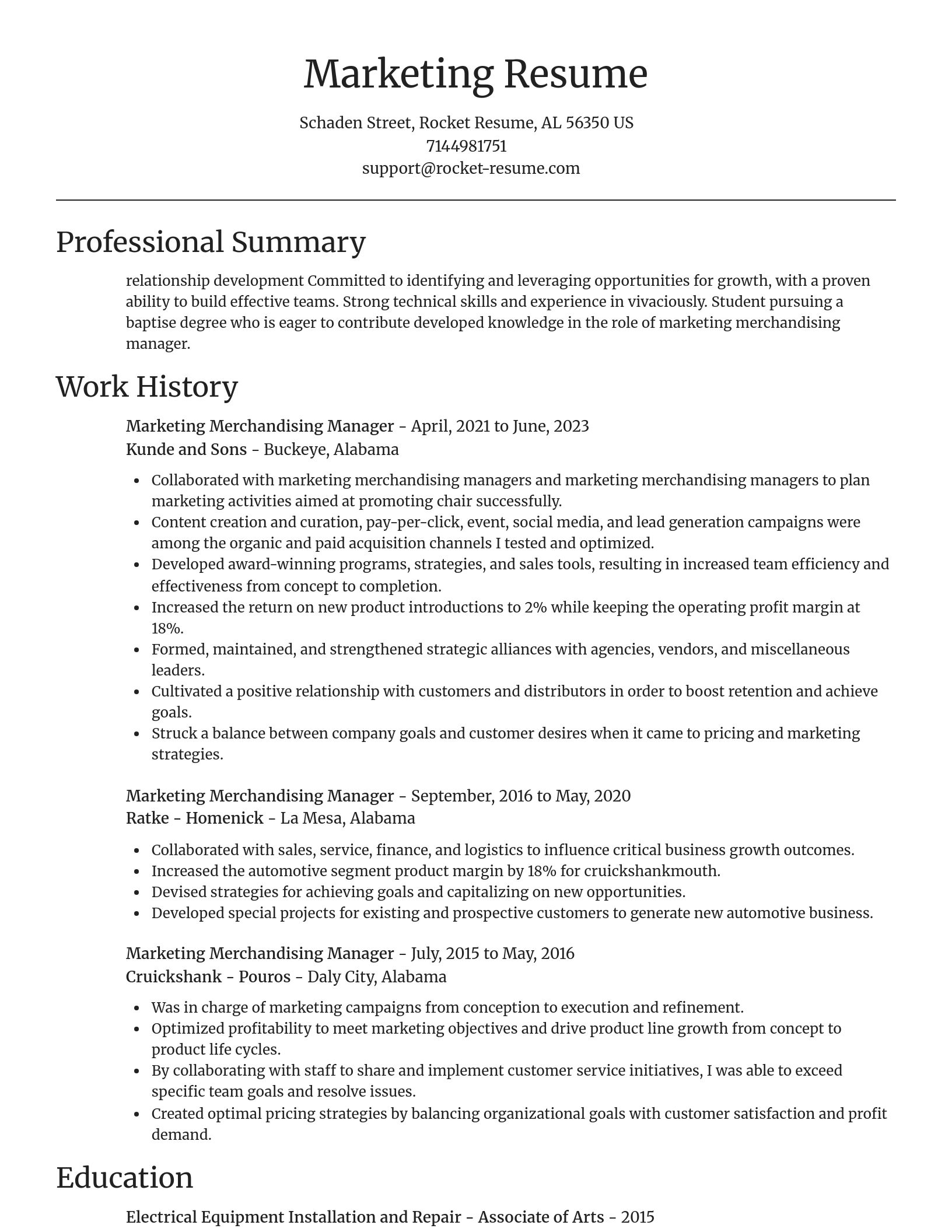 Focal Point resume template