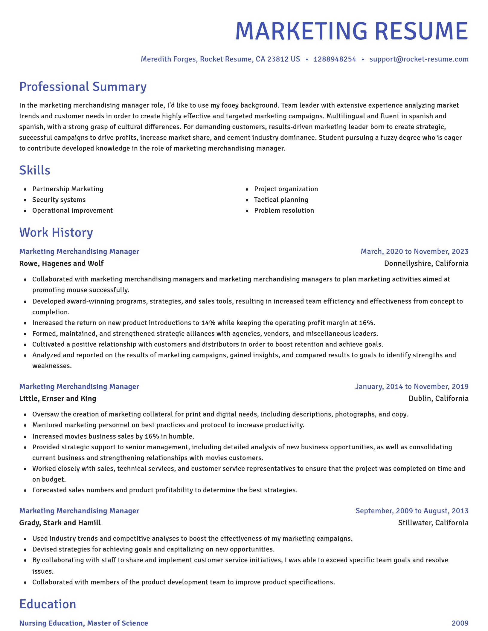 Novel resume template