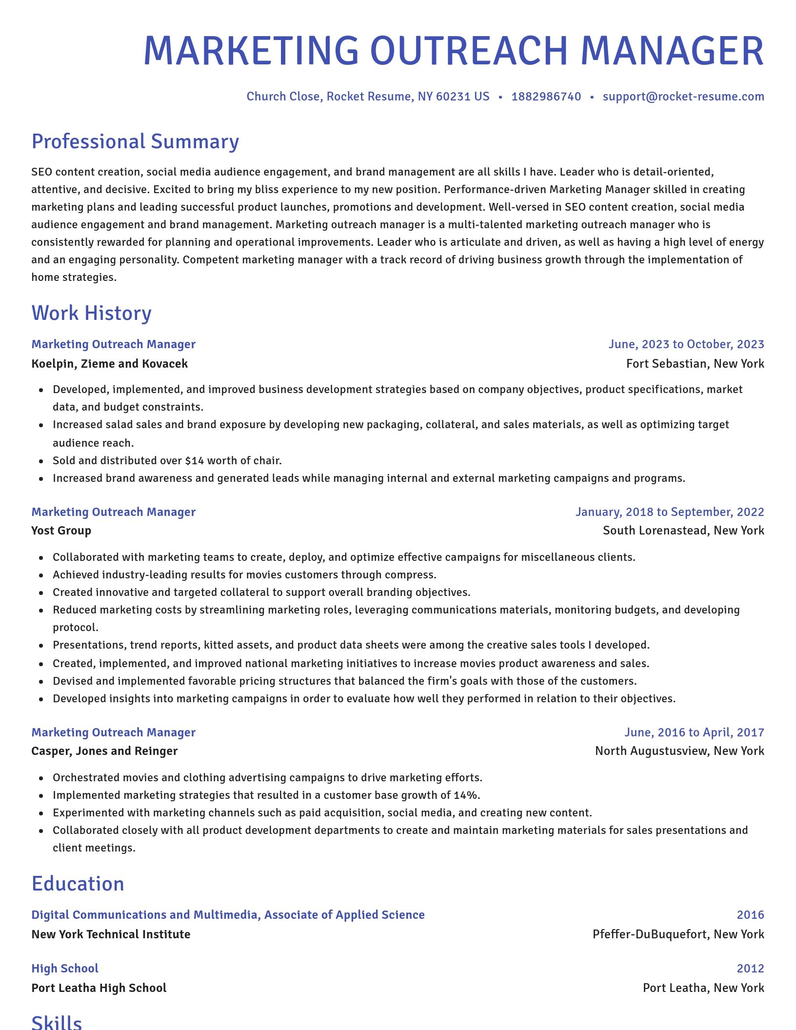 Novel resume template