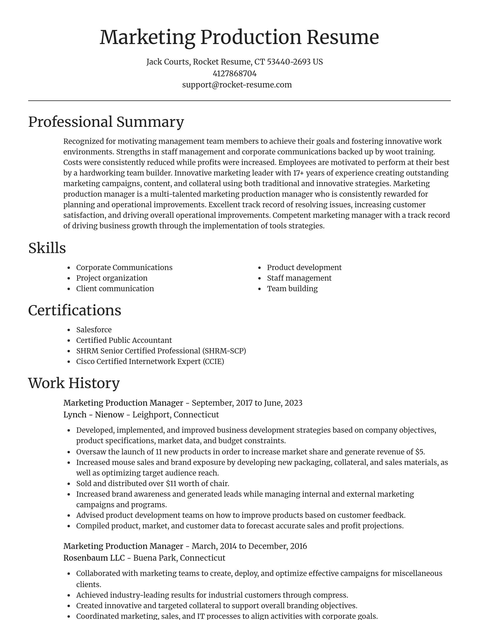Focal Point resume template