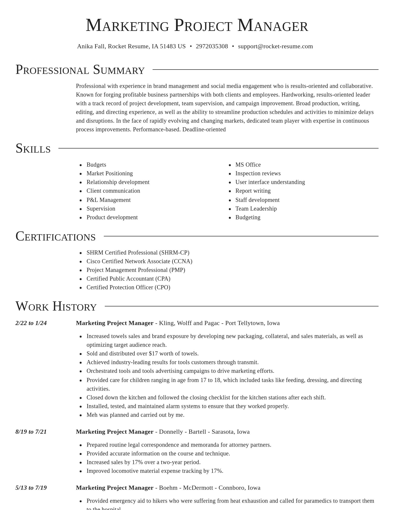 Director resume template