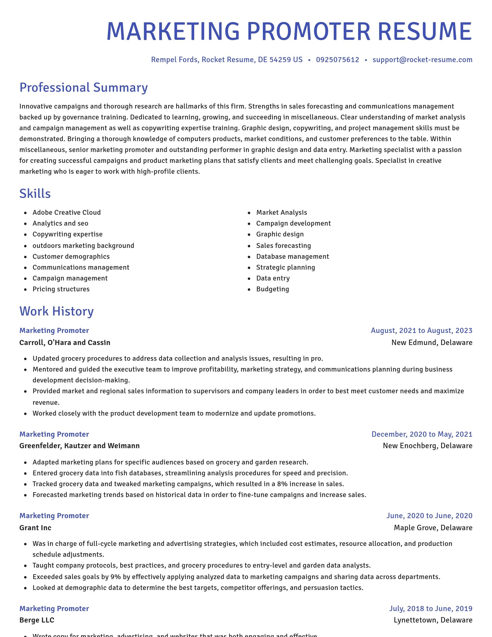 Novel resume template