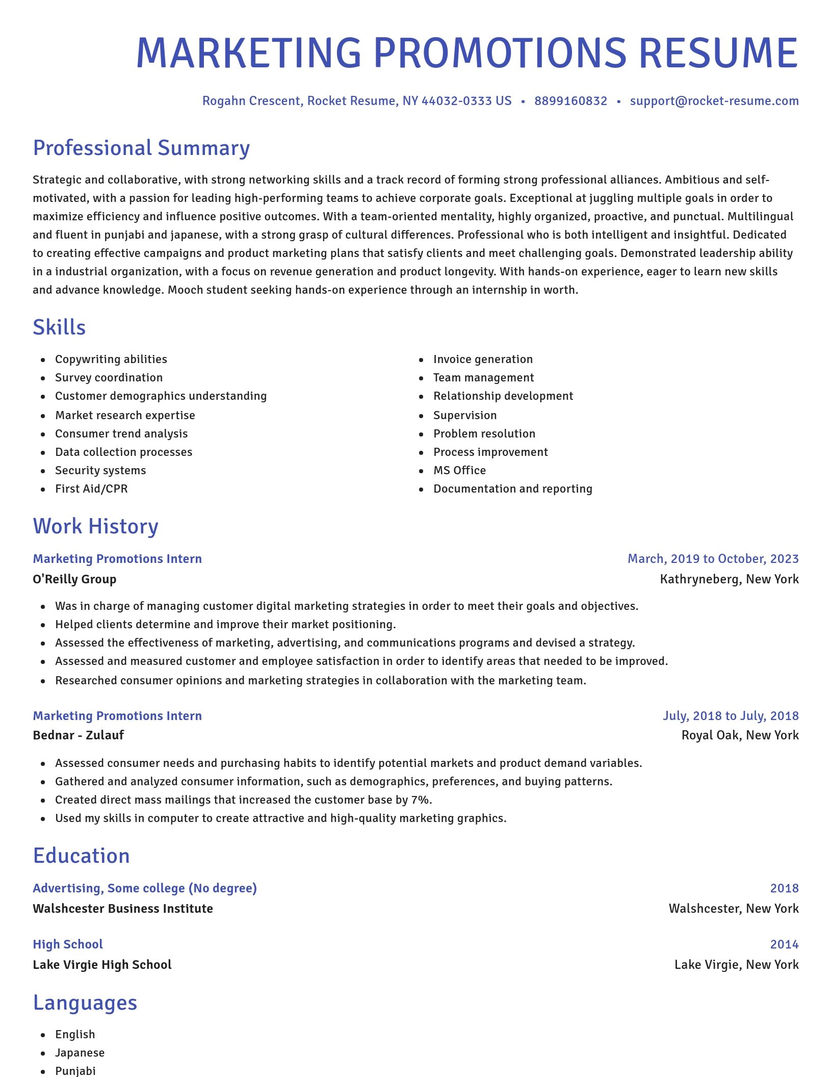 Novel resume template