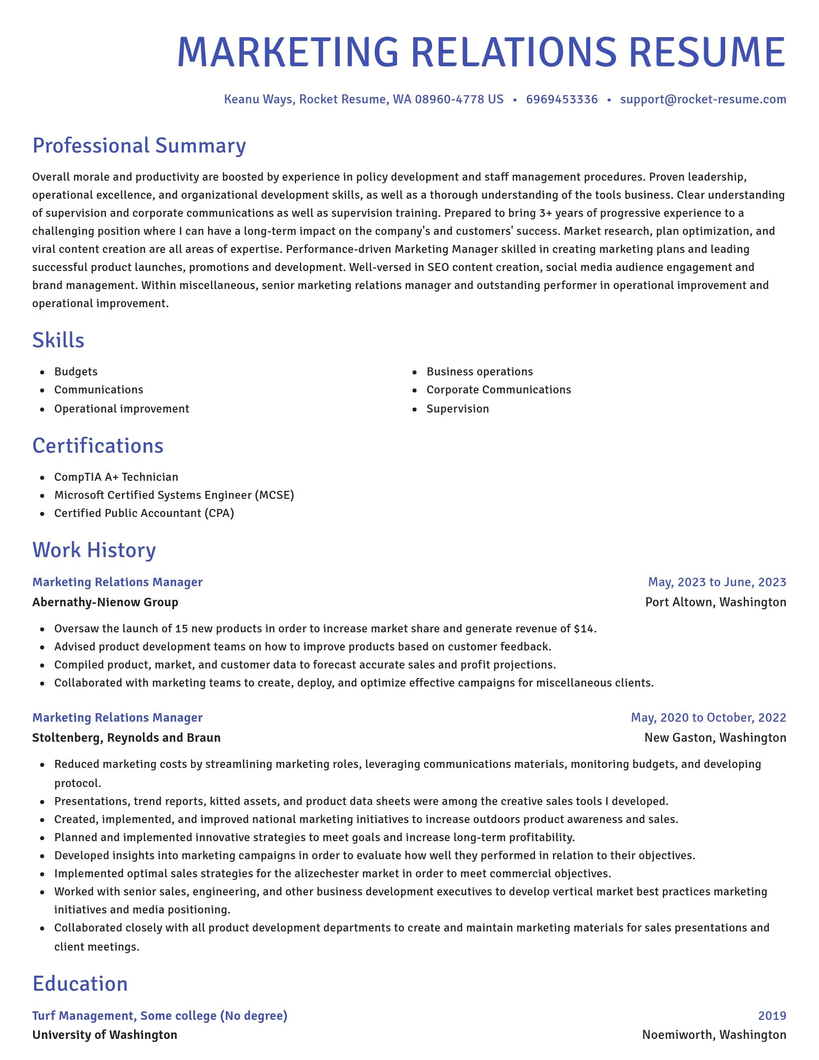 Novel resume template