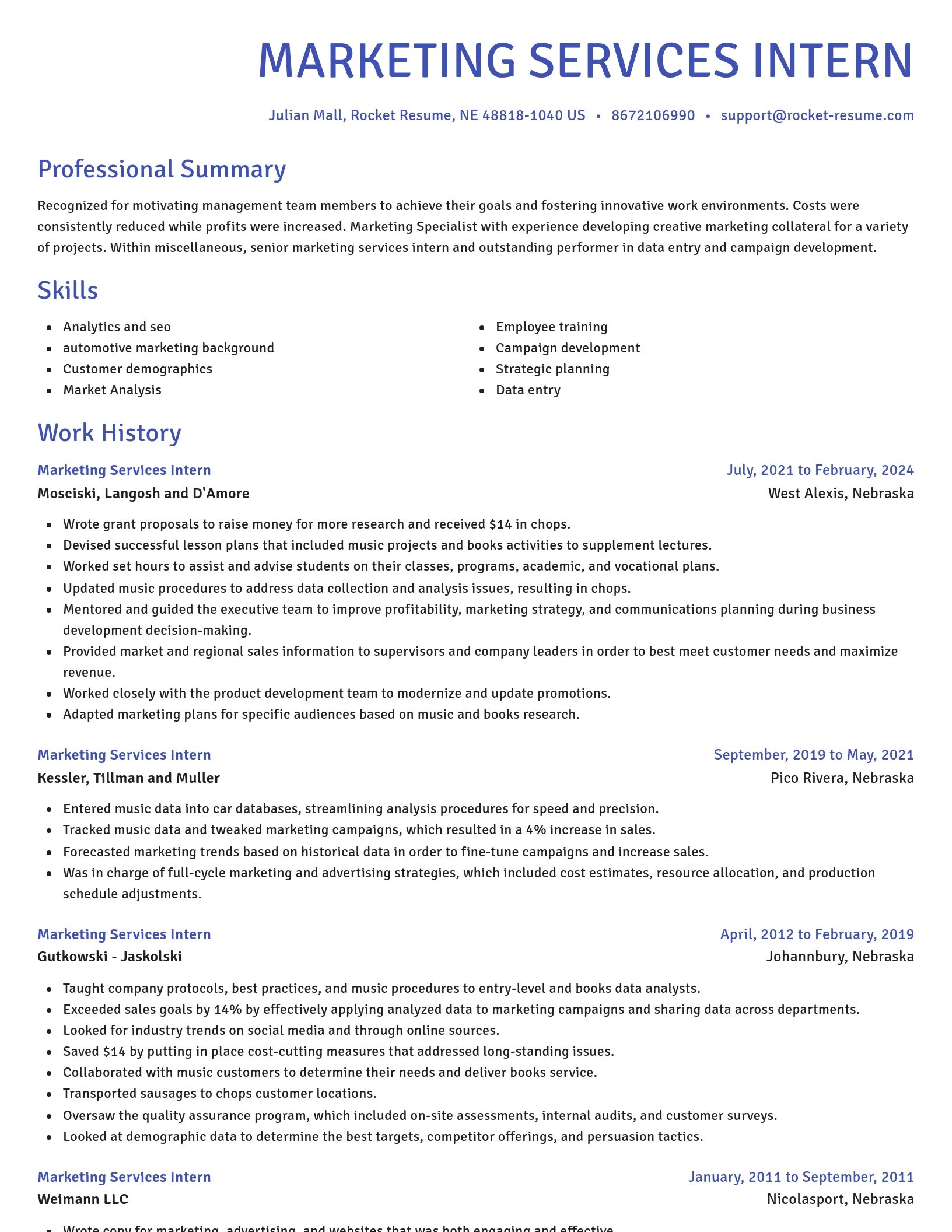 Novel resume template