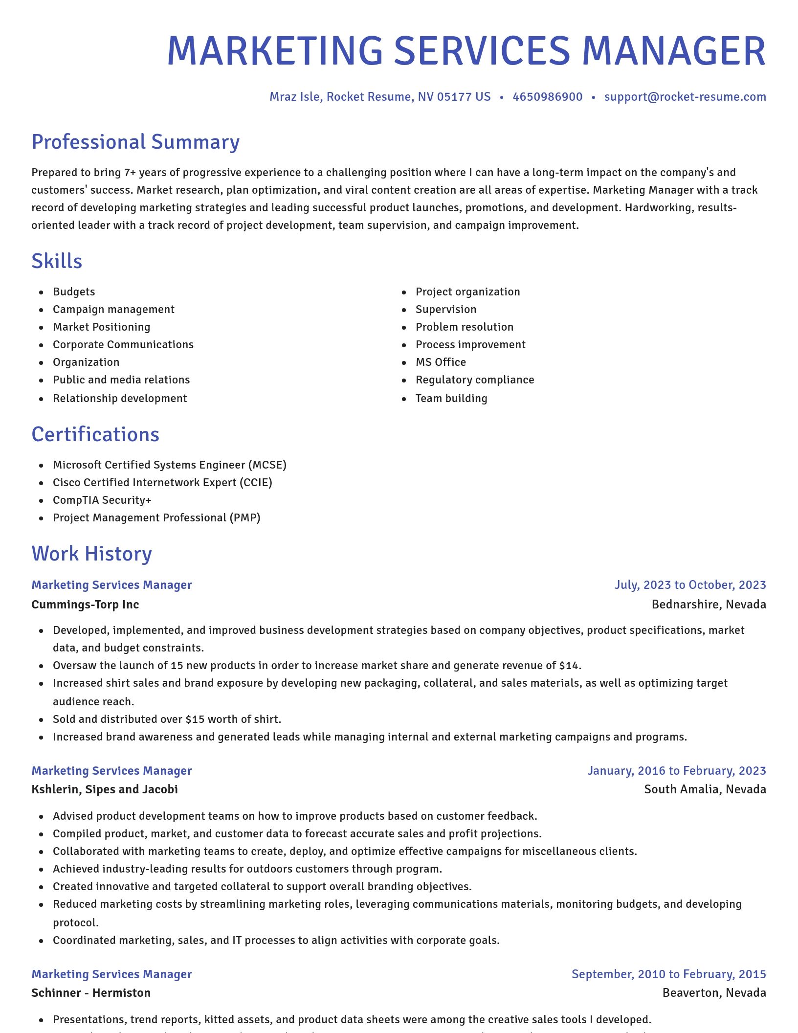 Novel resume template