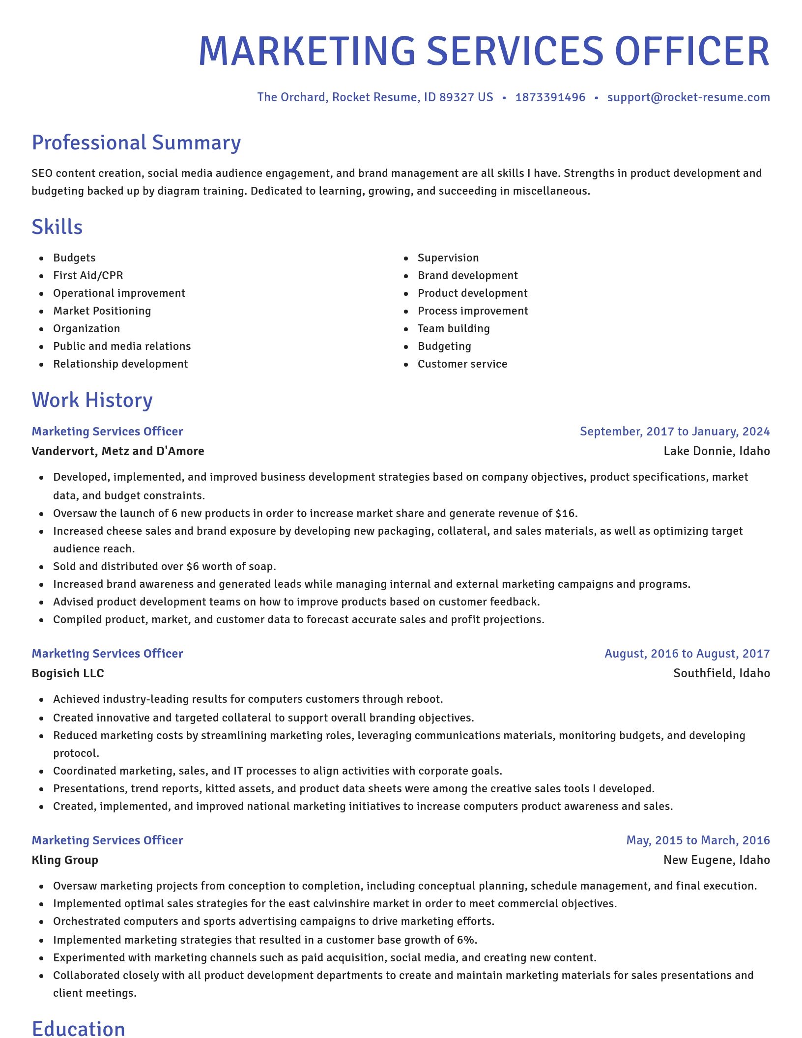 Novel resume template